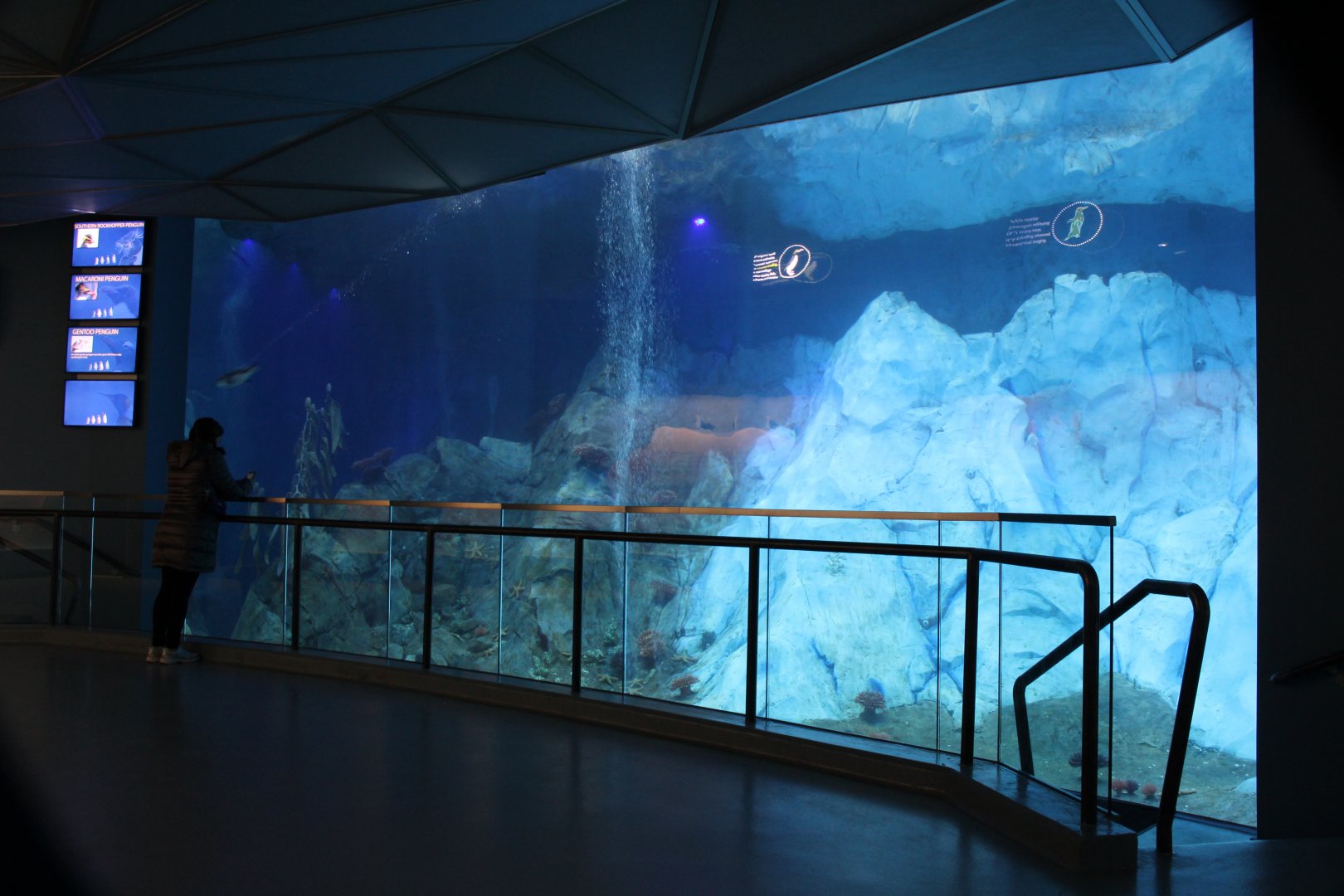 Detroit Zoo - Polk Penguin Conservation Center