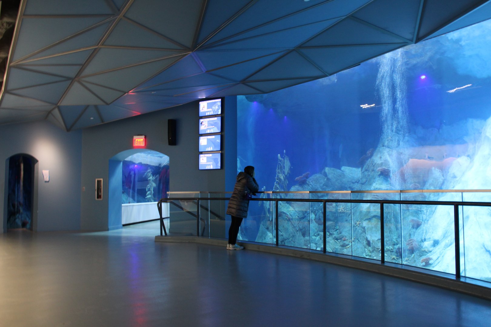 Detroit Zoo - Polk Penguin Conservation Center