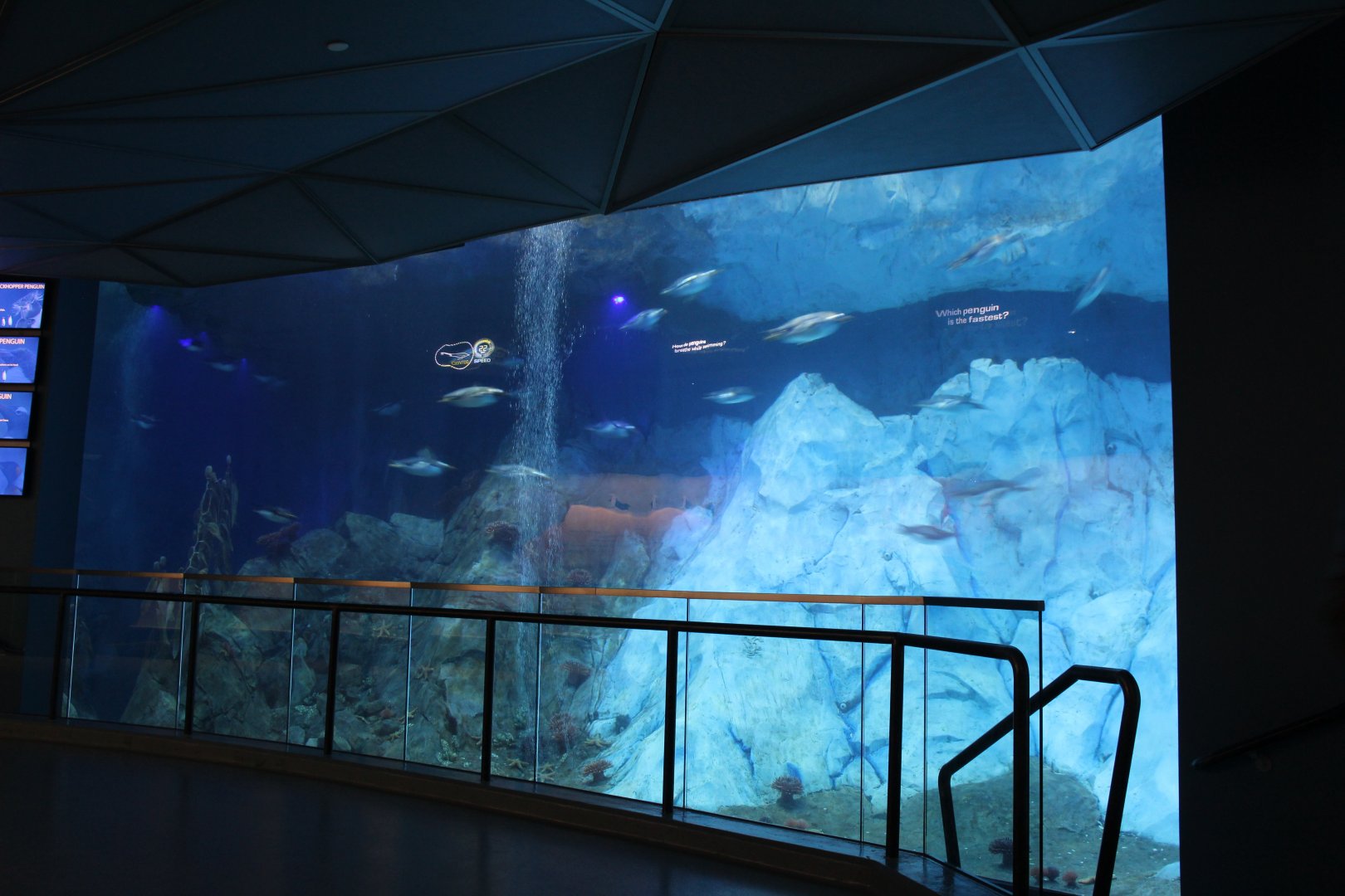 Detroit Zoo - Polk Penguin Conservation Center