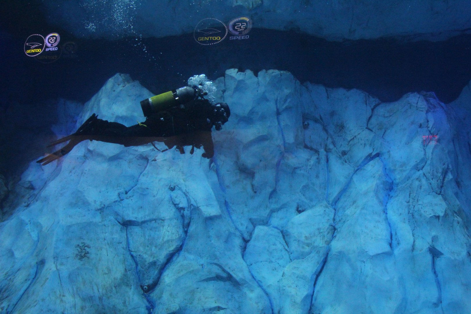 Detroit Zoo - Polk Penguin Conservation Center