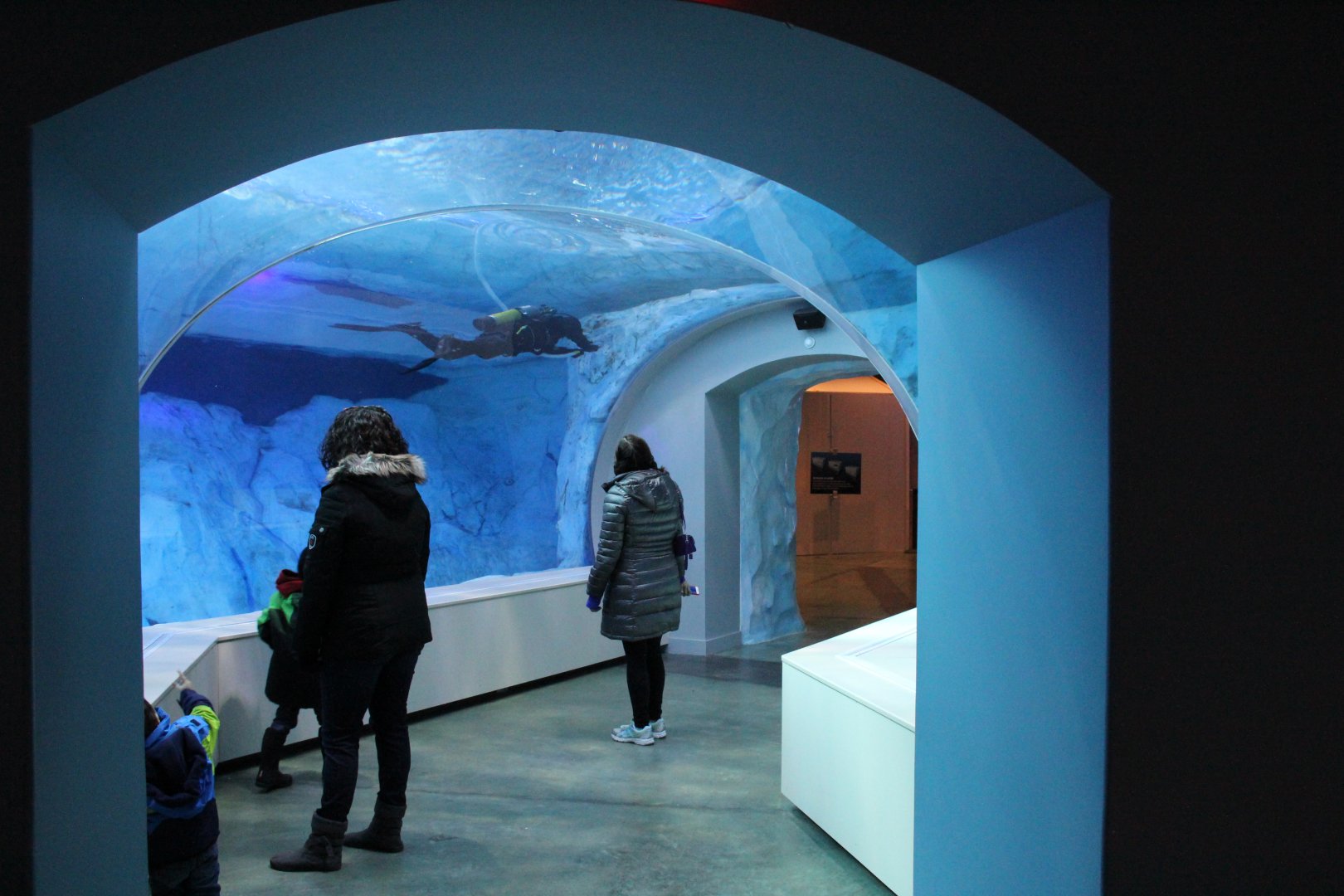 Detroit Zoo - Polk Penguin Conservation Center