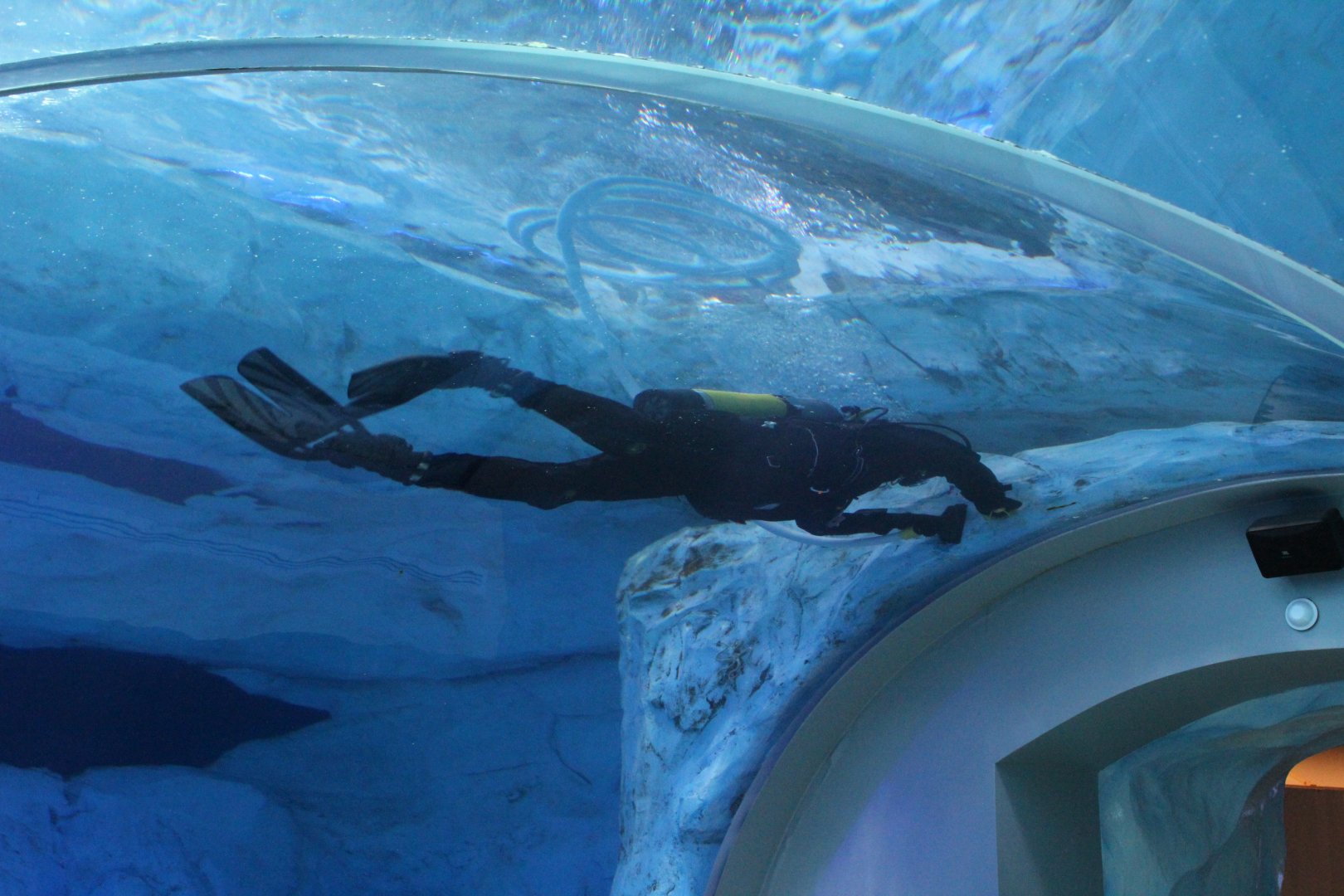 Detroit Zoo - Polk Penguin Conservation Center