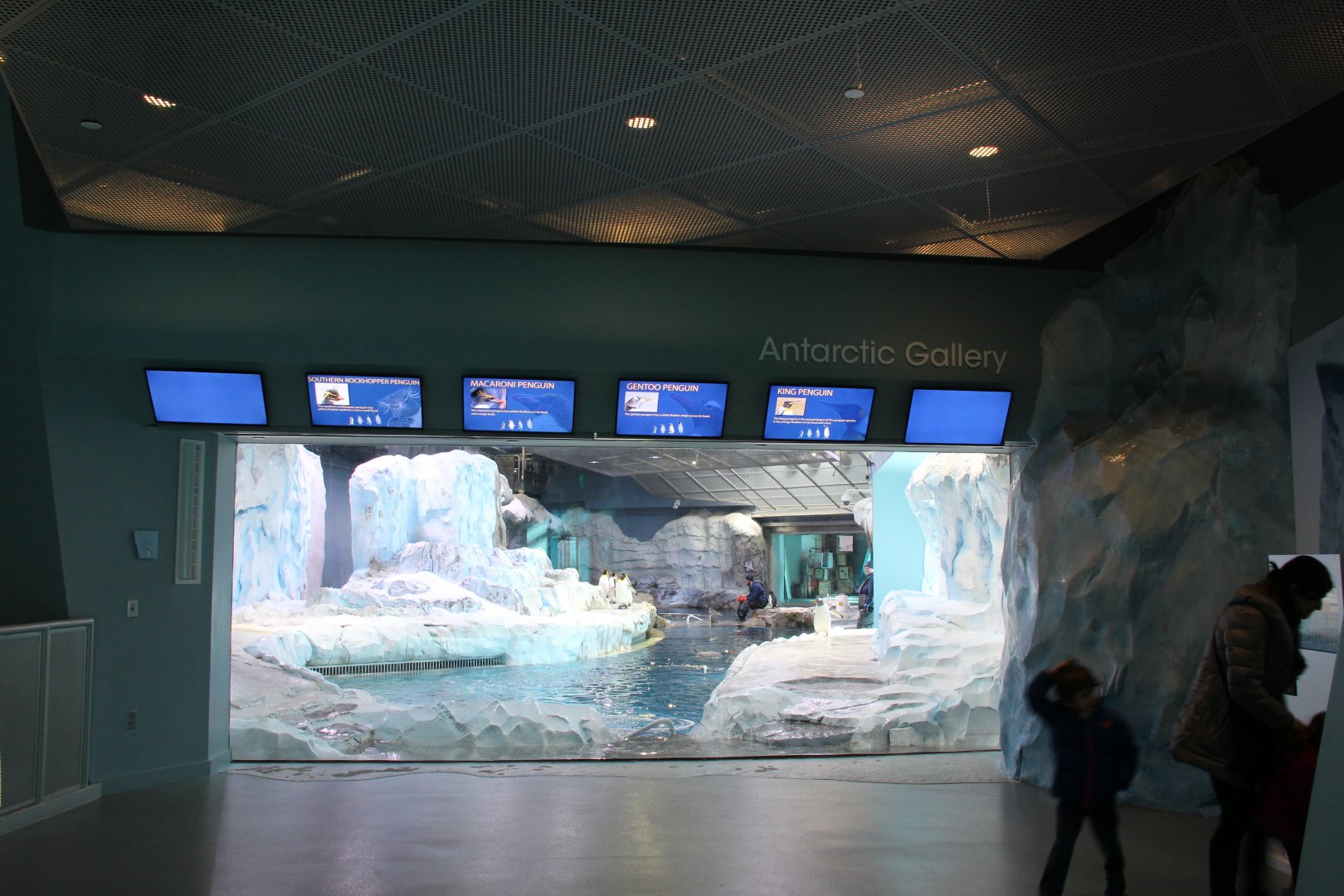 Detroit Zoo - Polk Penguin Conservation Center