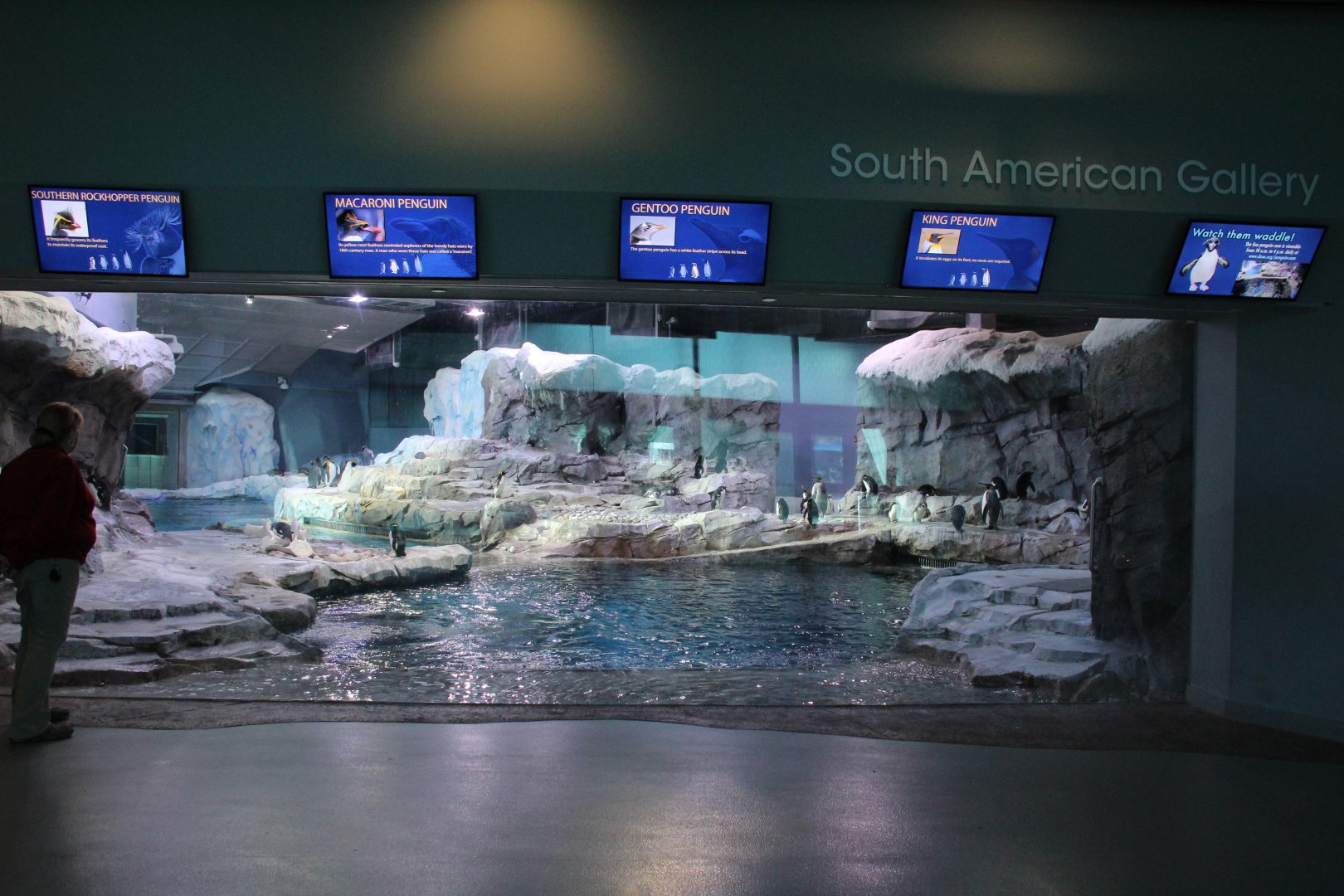 Detroit Zoo - Polk Penguin Conservation Center