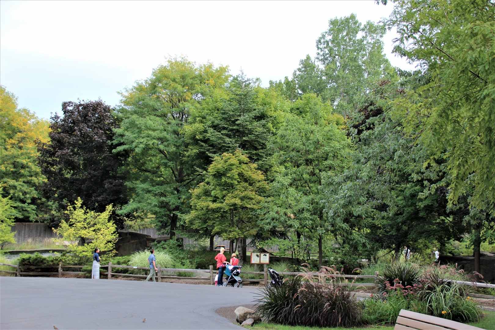 Detroit Zoo - Red Panda enclosure - Summer/Fall, 2016
