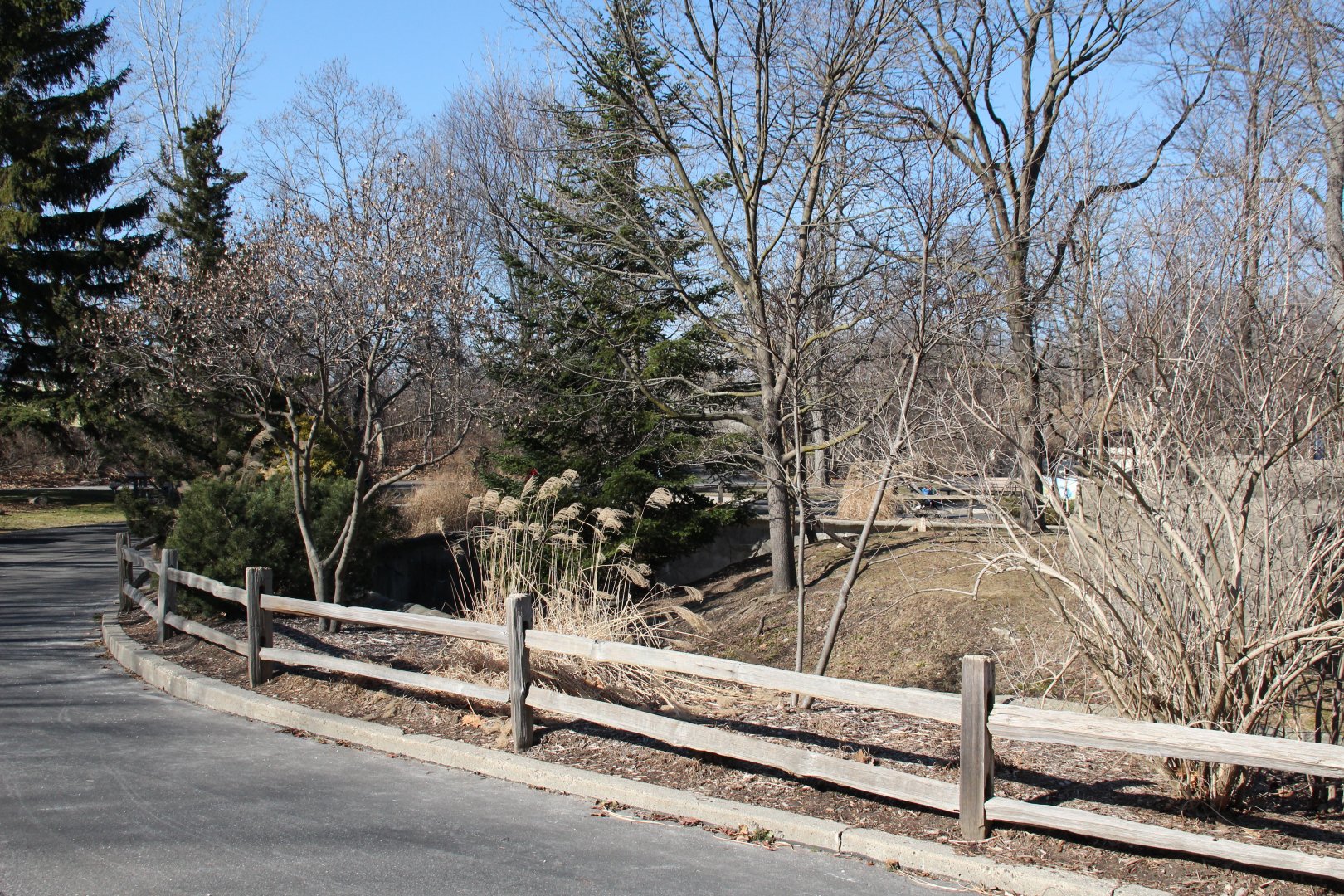 Detroit Zoo - Red Panda enclosure
