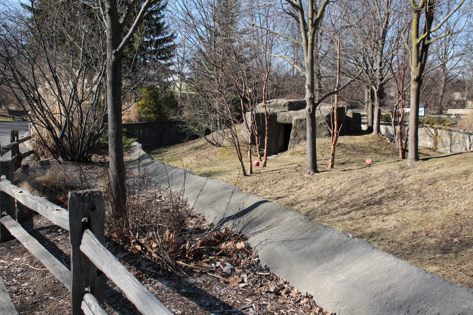 Detroit Zoo - Red Panda enclosure