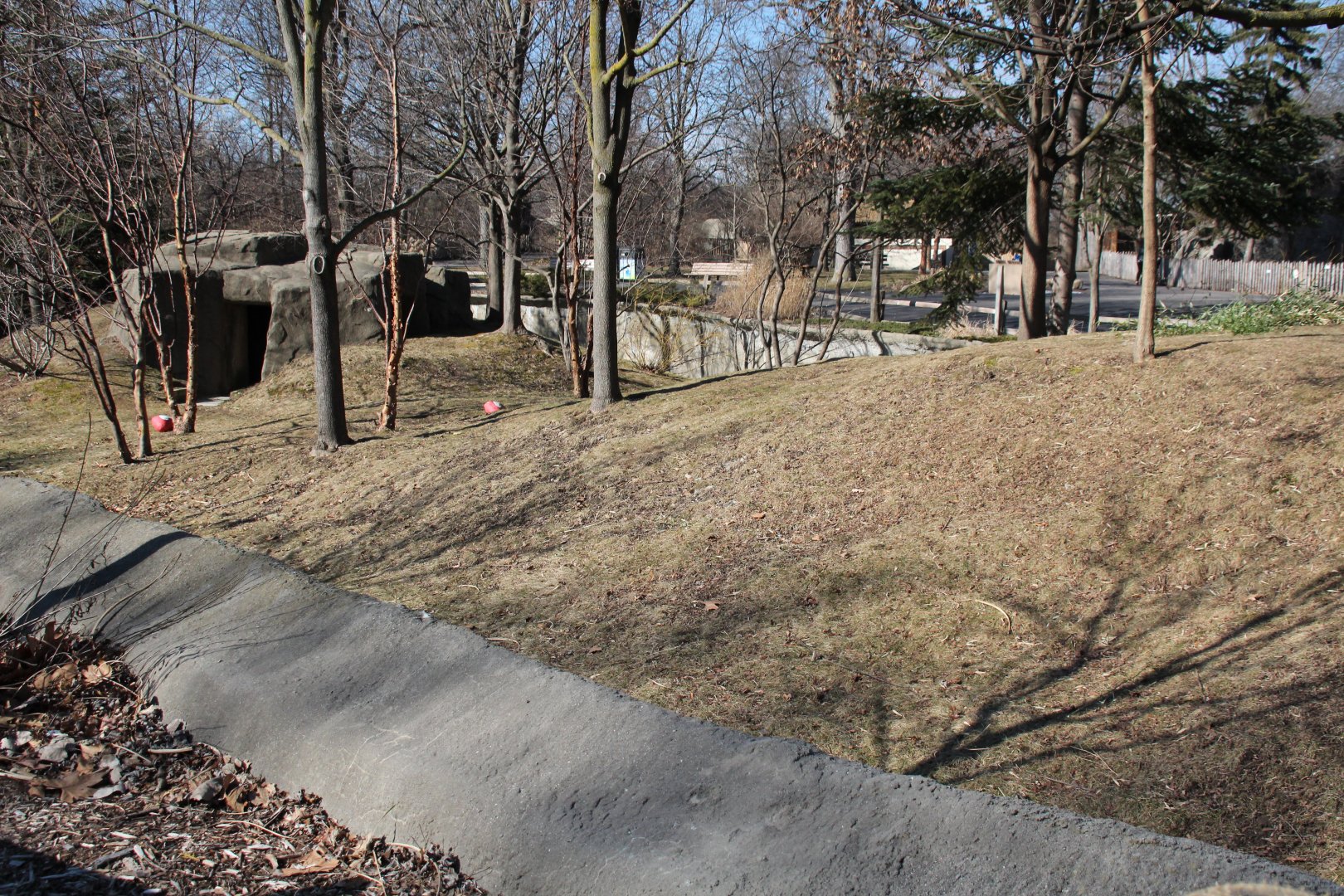 Detroit Zoo - Red Panda enclosure