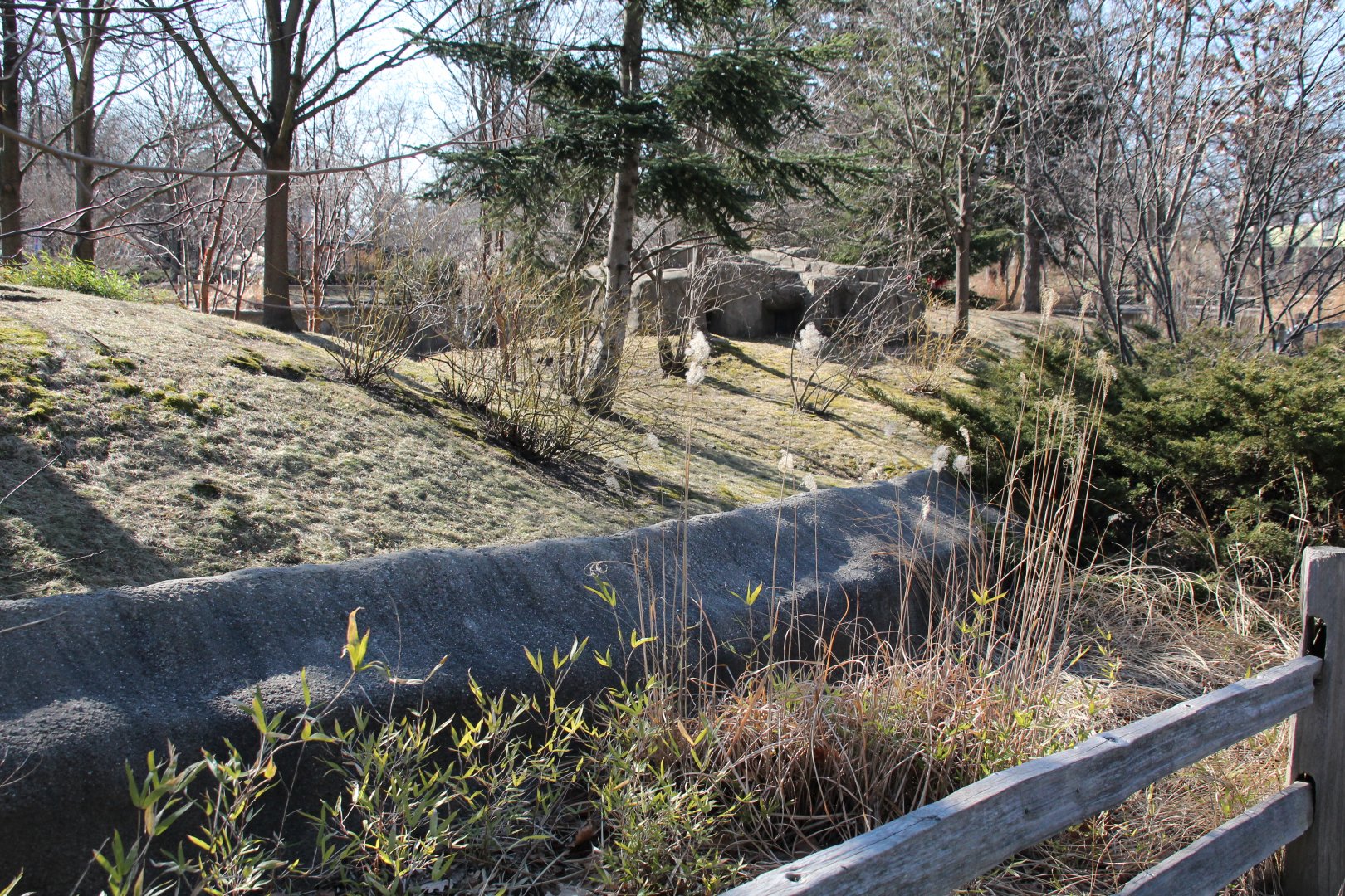 Detroit Zoo - Red Panda enclosure