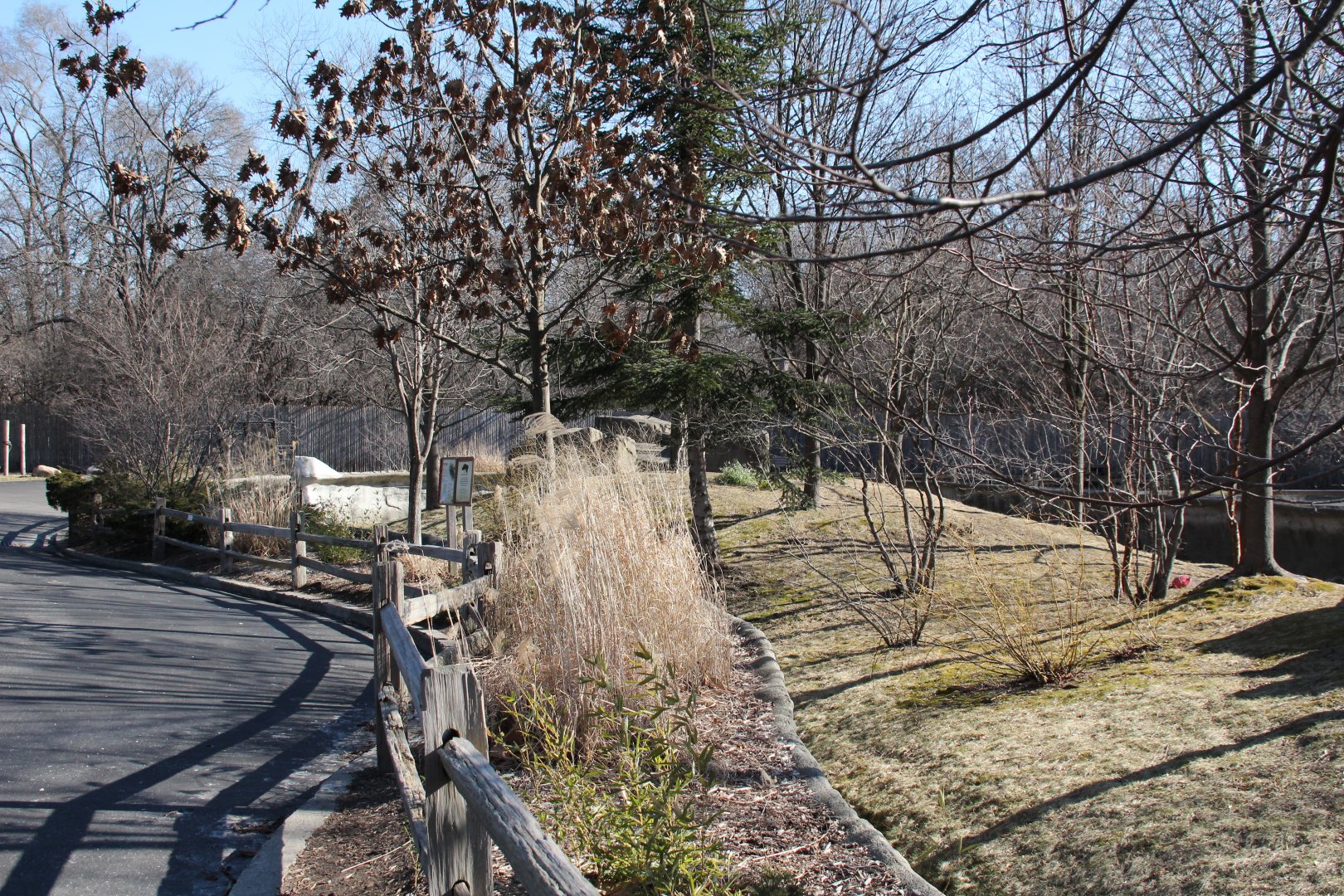 Detroit Zoo - Red Panda enclosure