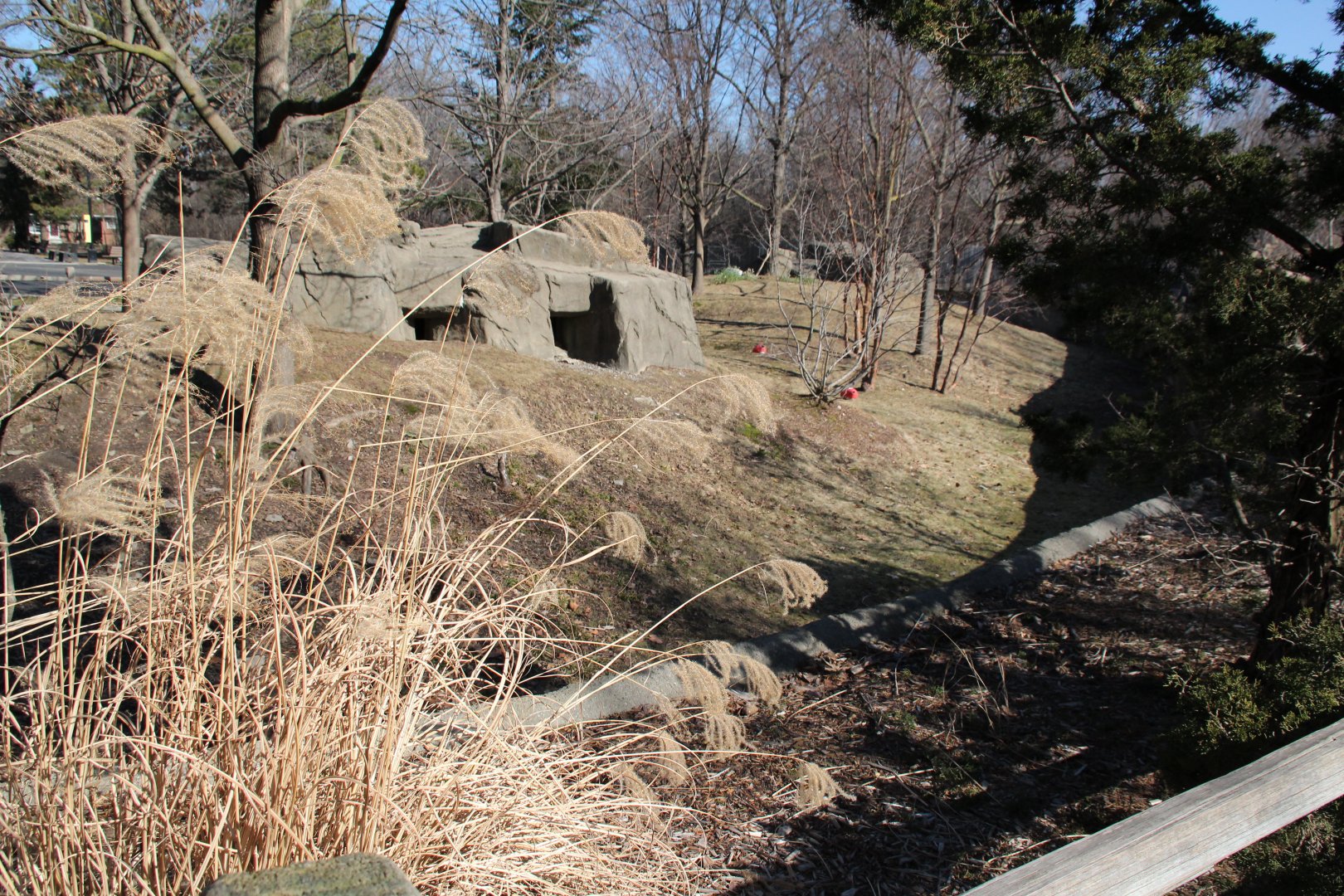 Detroit Zoo - Red Panda enclosure
