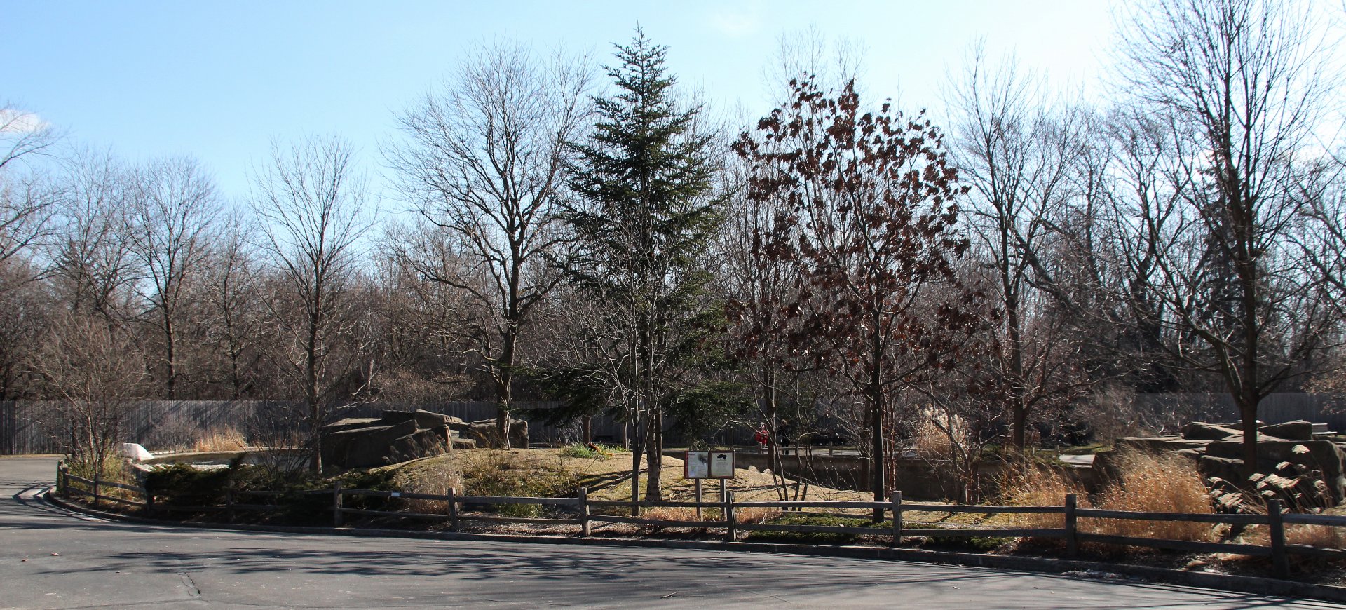Detroit Zoo - Red Panda enclosure