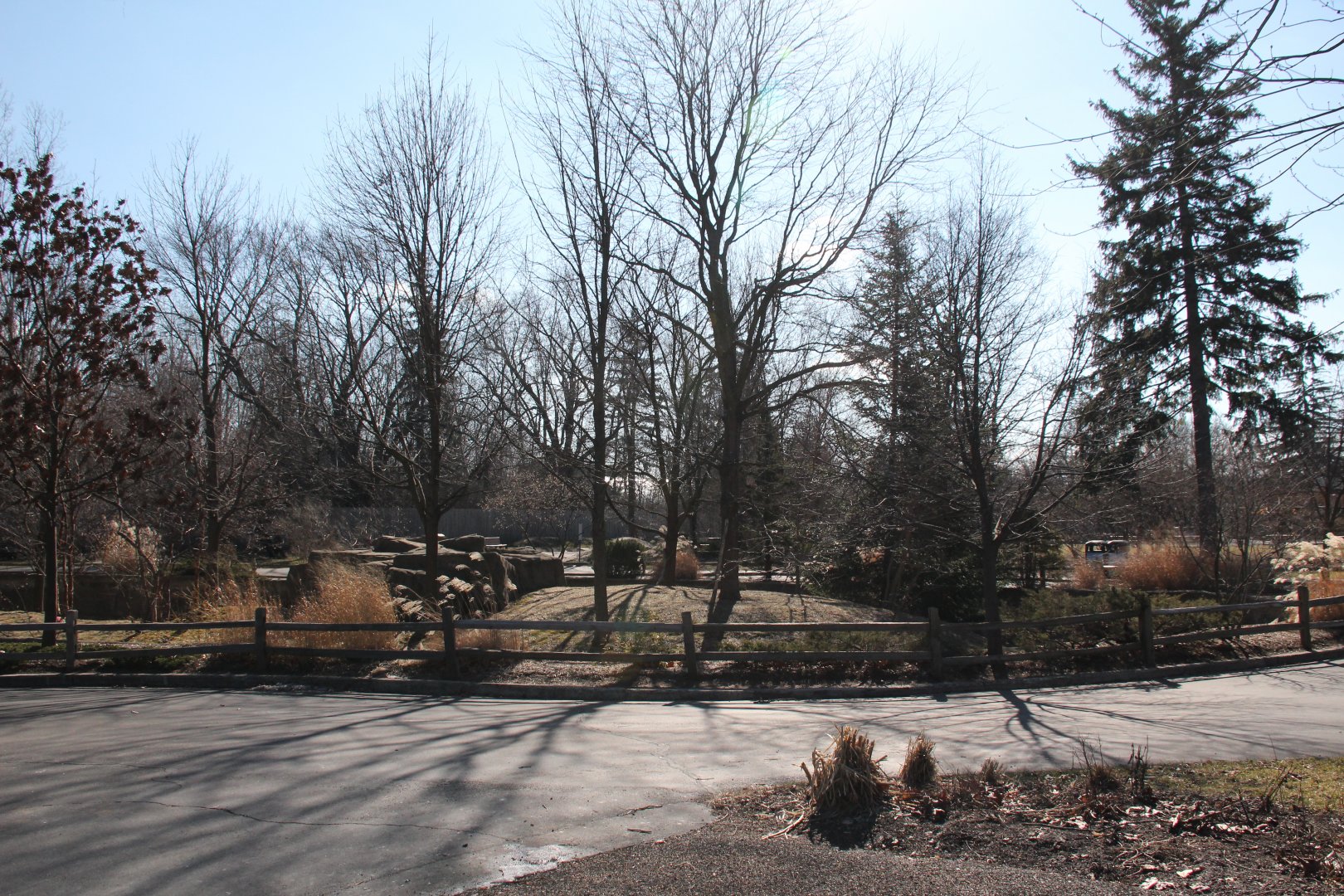 Detroit Zoo - Red Panda enclosure