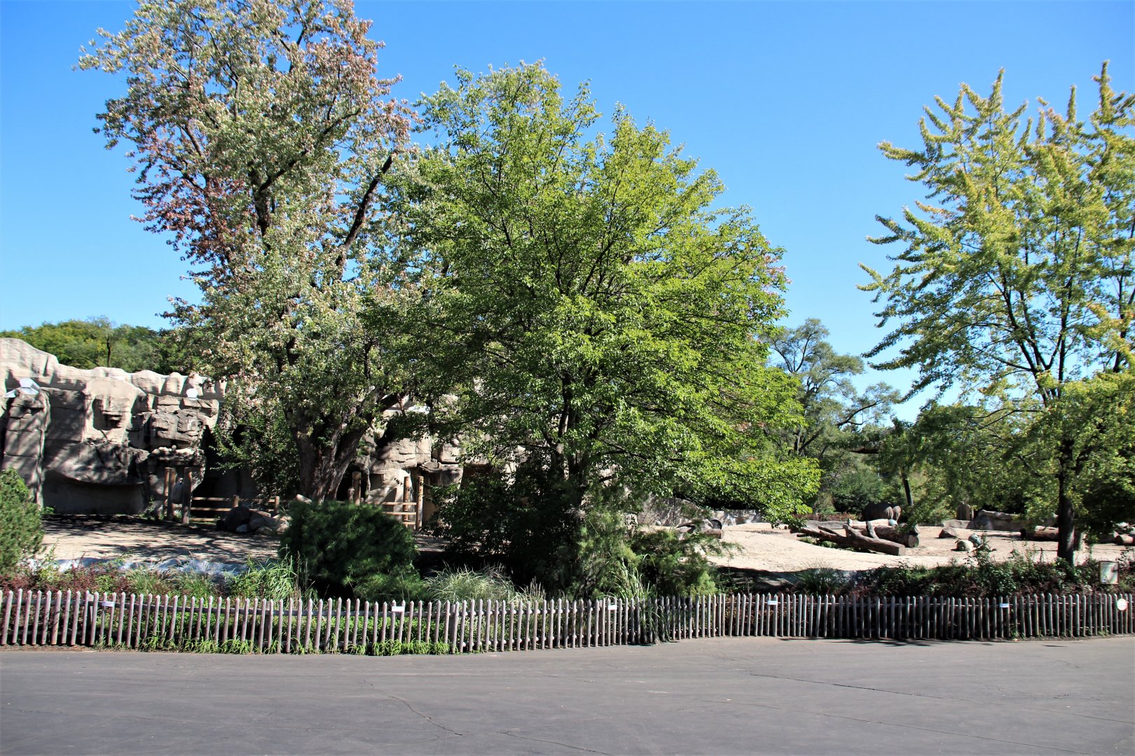 Detroit Zoo - Rhino enclosure - Summer/Fall, 2016