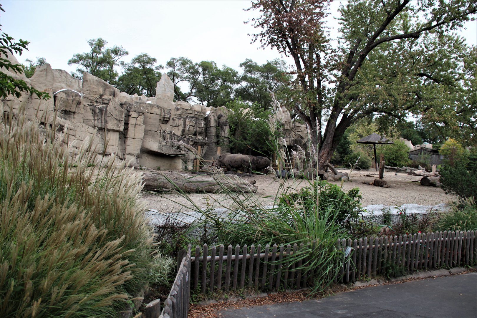 Detroit Zoo - Rhino enclosure - Summer/Fall, 2016
