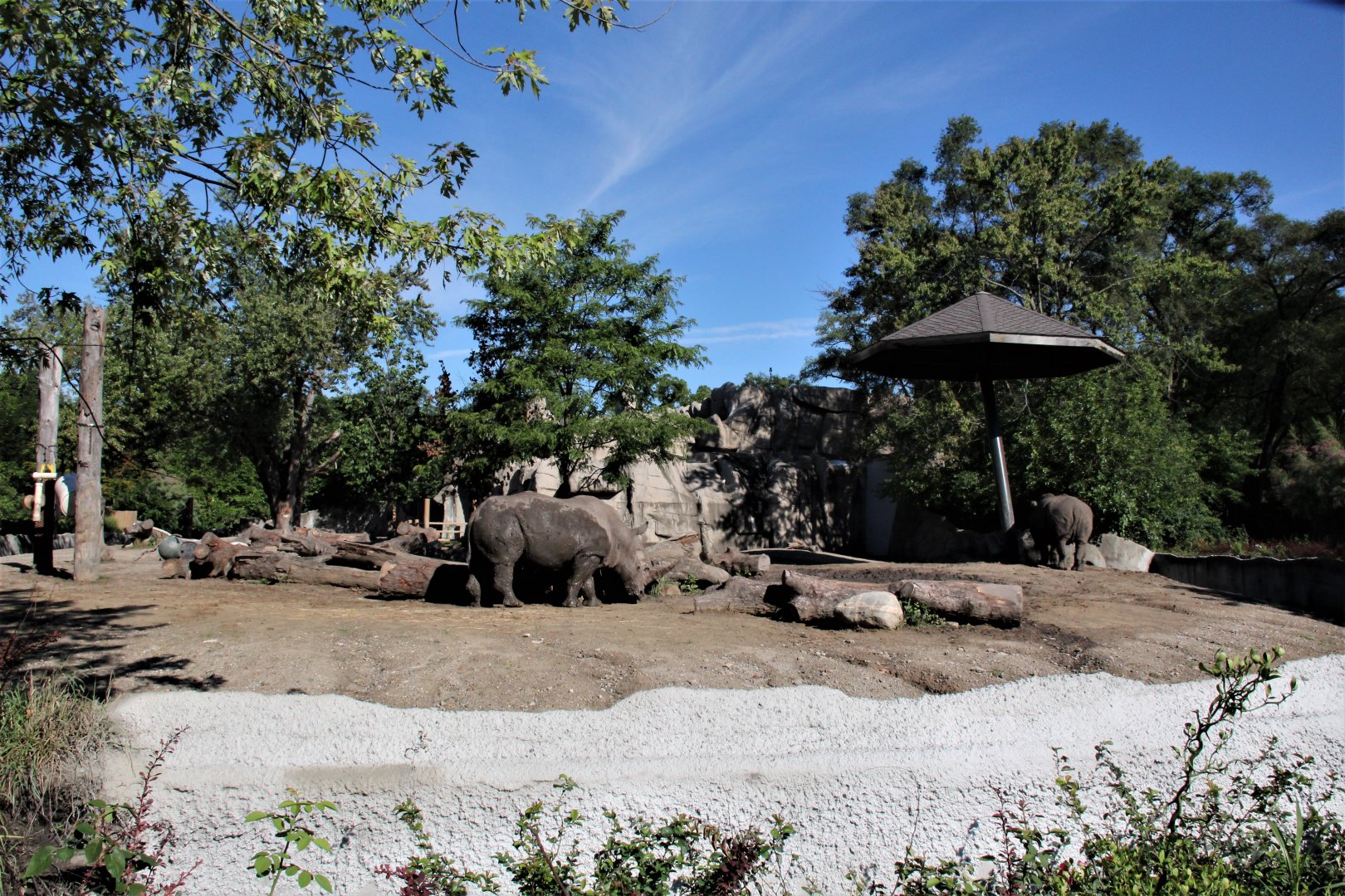 Detroit Zoo - Rhino enclosure - Summer/Fall, 2016