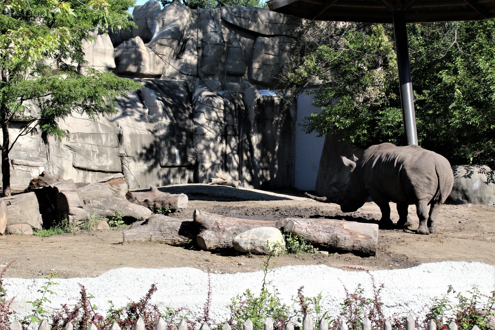 Detroit Zoo - Rhino enclosure - Summer/Fall, 2016