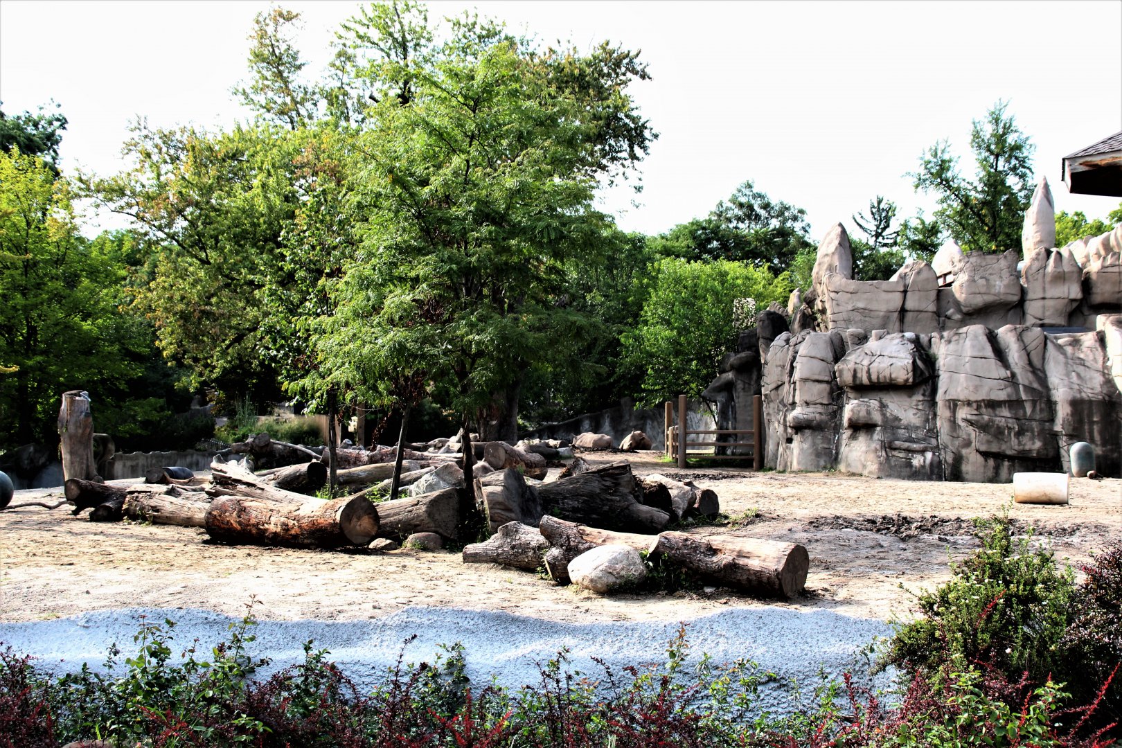Detroit Zoo - Rhino enclosure - Summer/Fall, 2016
