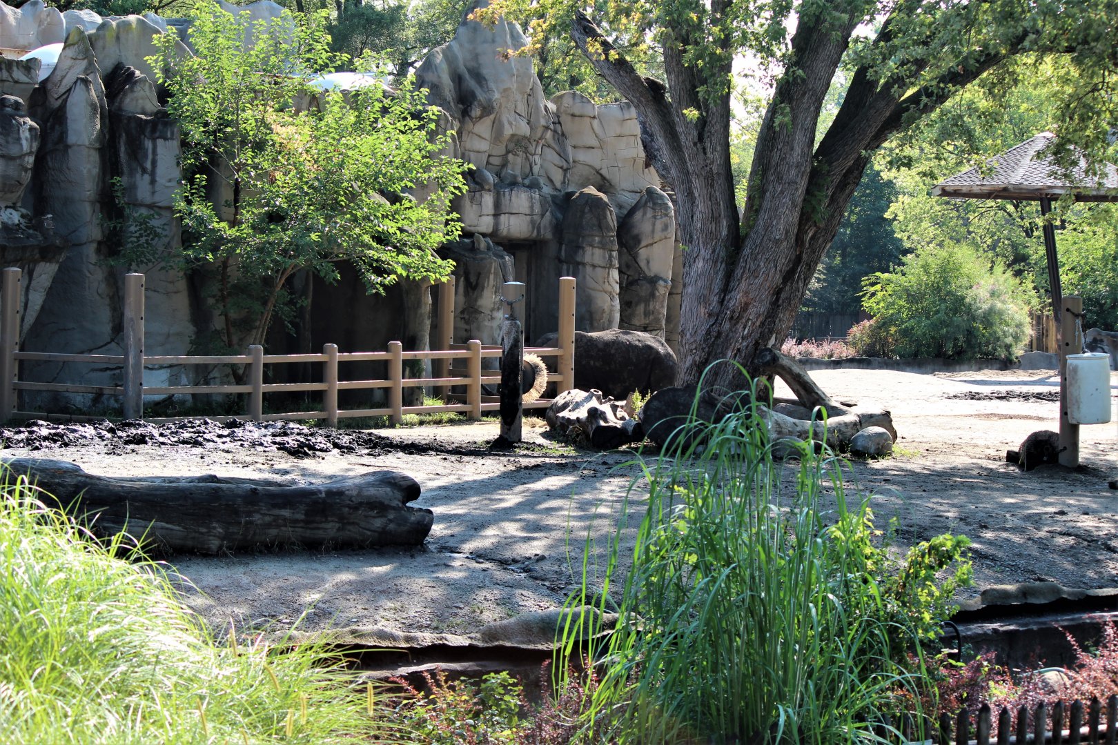 Detroit Zoo - Rhino enclosure - Summer/Fall, 2016