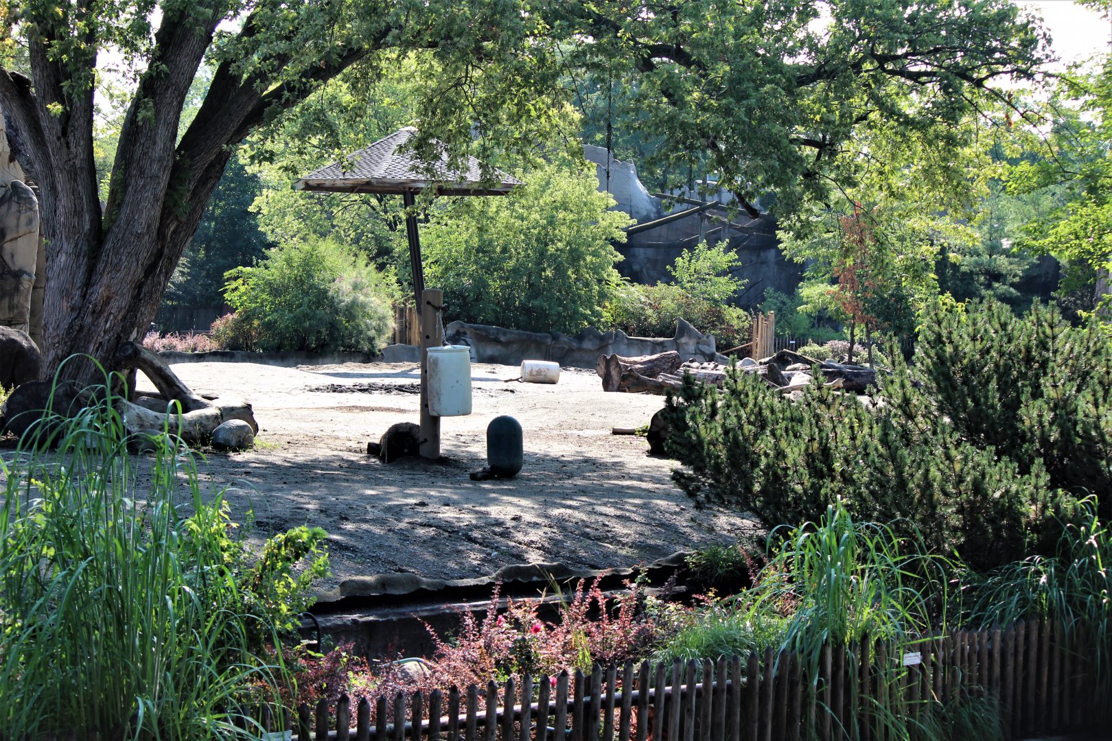 Detroit Zoo - Rhino enclosure - Summer/Fall, 2016