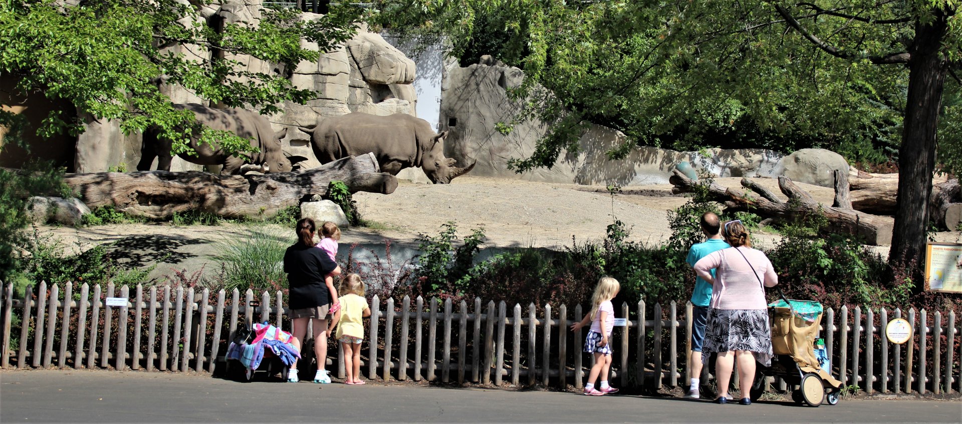 Detroit Zoo - Rhino enclosure - Summer/Fall, 2016