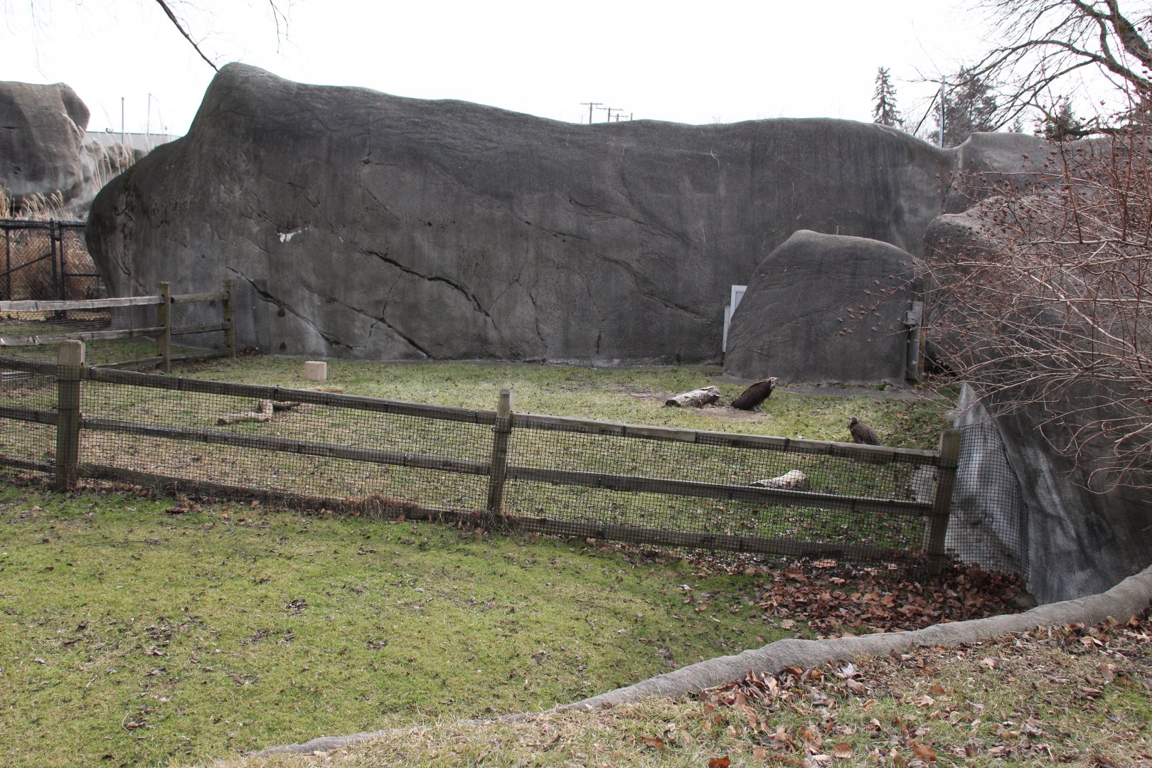 Detroit Zoo - (South) American Grasslands