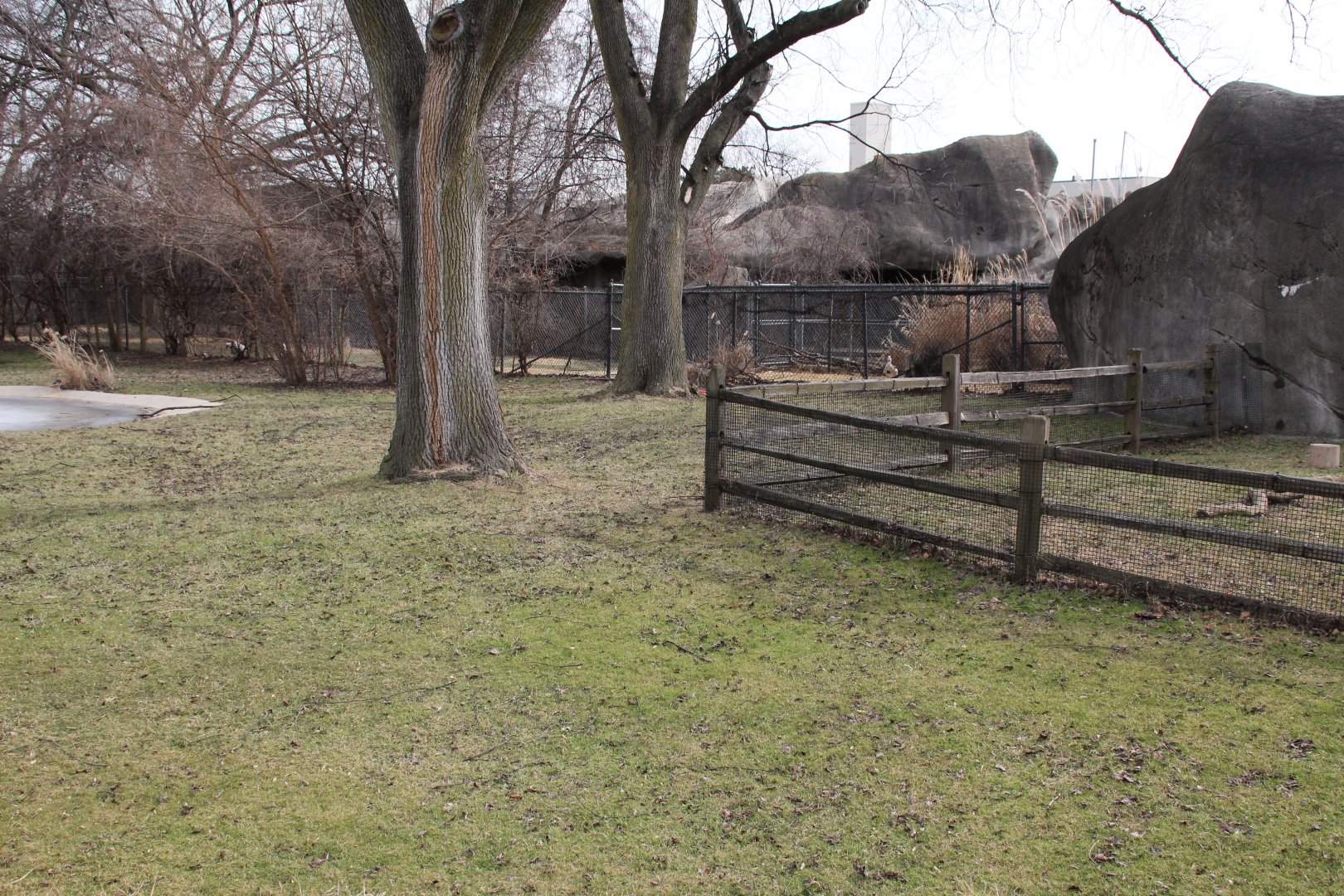 Detroit Zoo - (South) American Grasslands