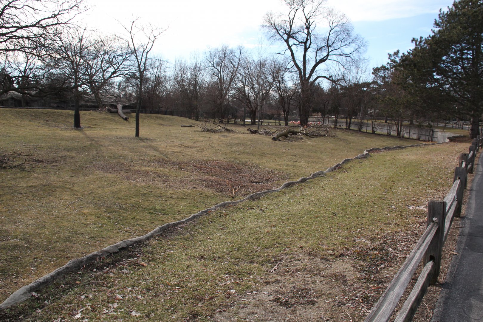 Detroit Zoo - (South) American Grasslands