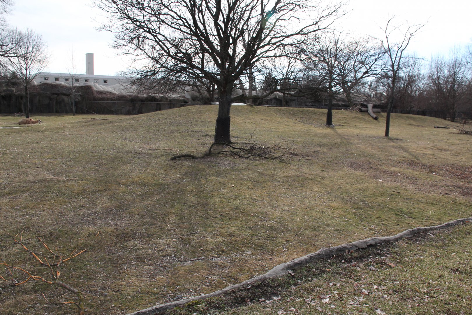 Detroit Zoo - (South) American Grasslands