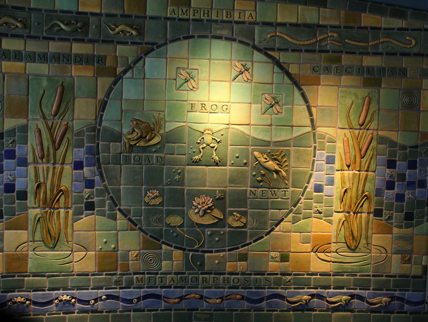 Detroit Zoo - Tile mural / Amphibianville - September, 2016