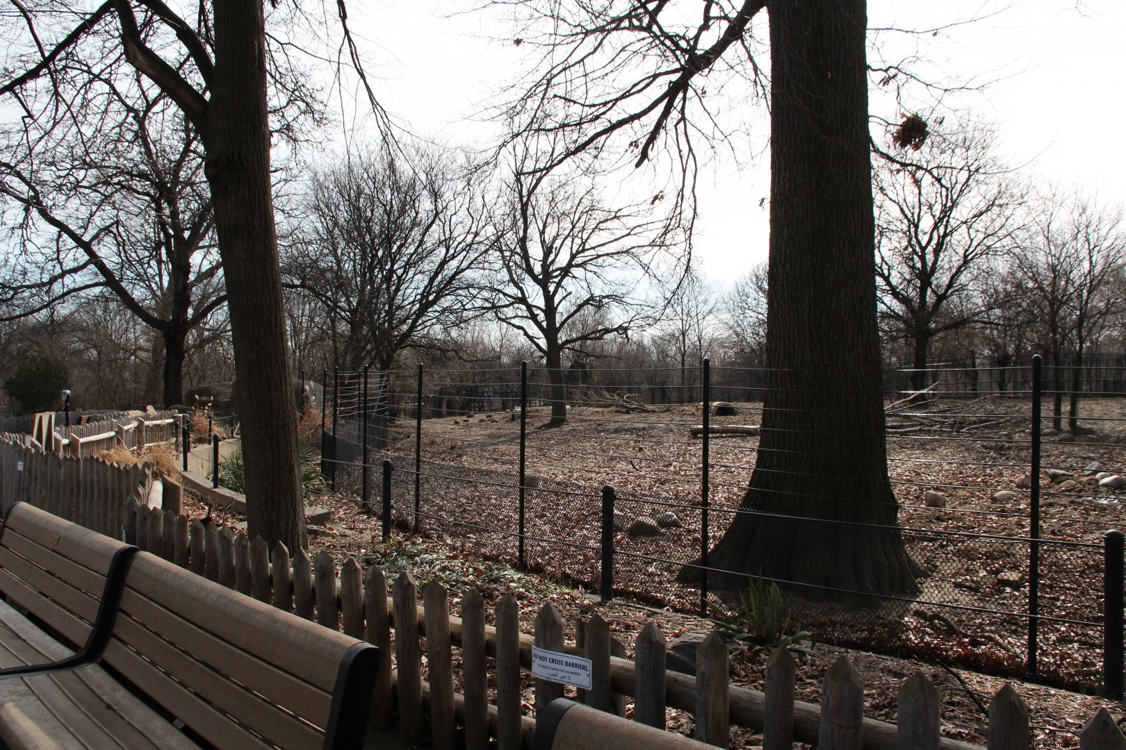Detroit Zoo - Warthog enclosure