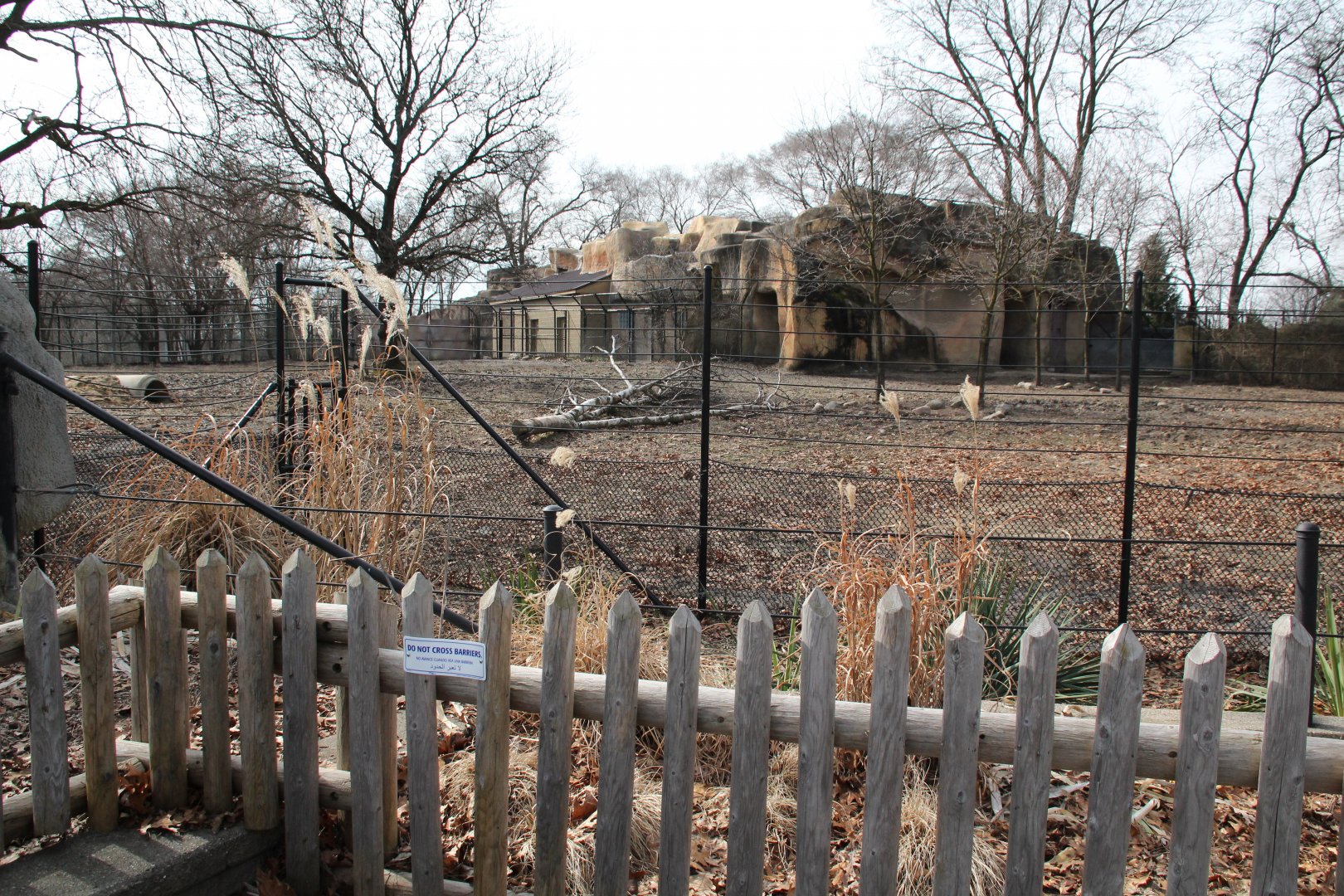 Detroit Zoo - Warthog enclosure