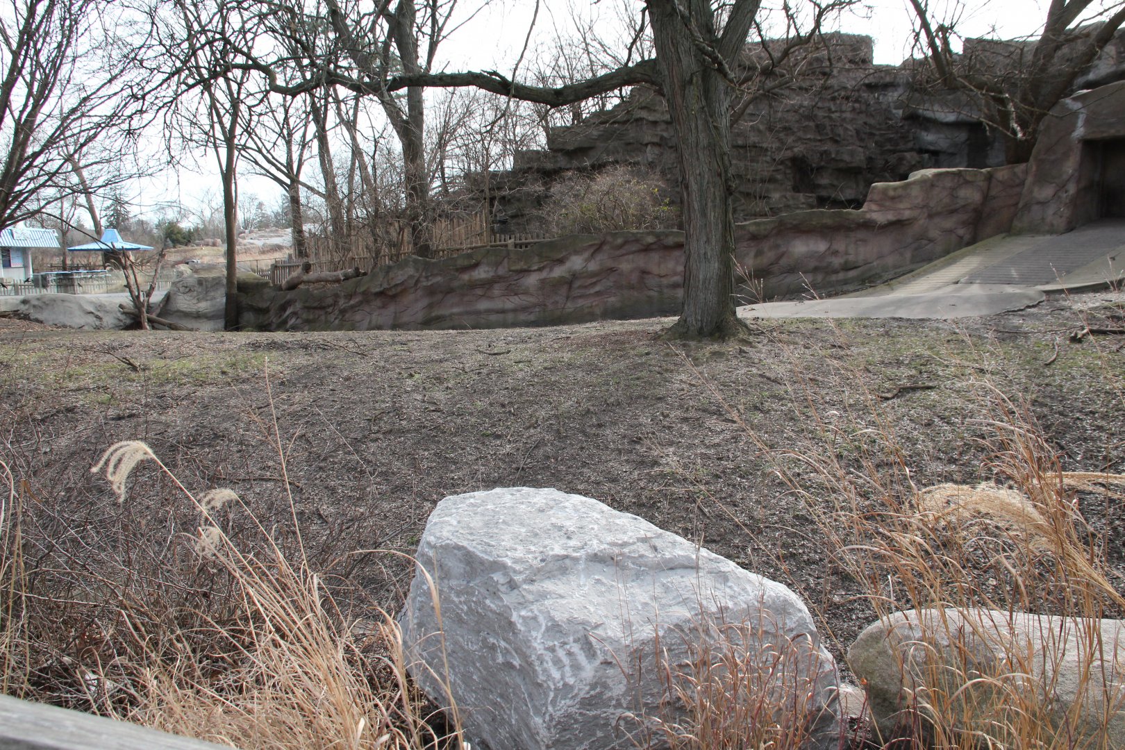 Detroit Zoo - Warthog enclosure