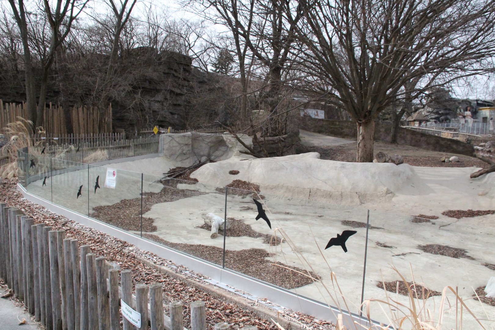 Detroit Zoo - Warthog enclosure