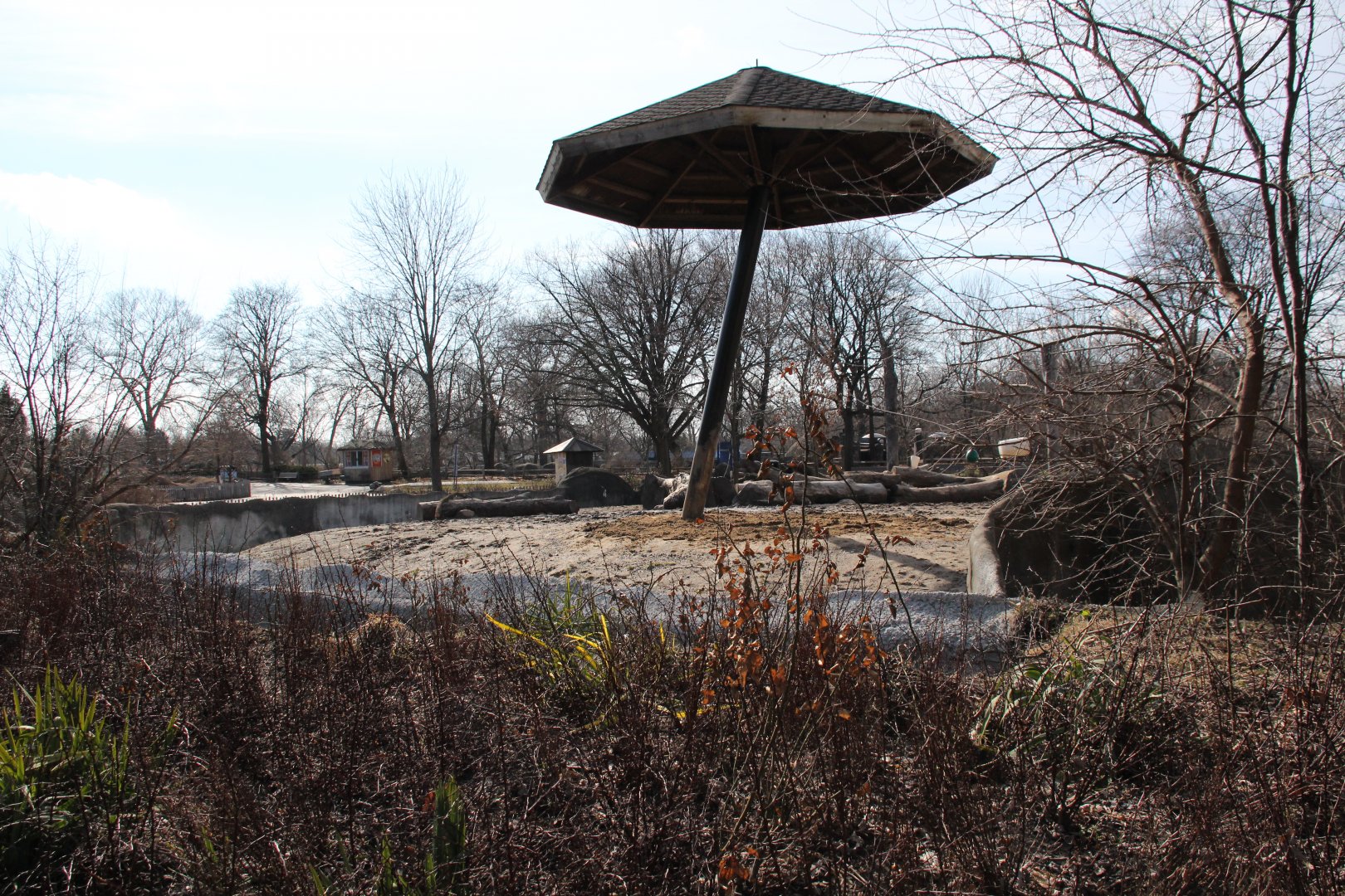 Detroit Zoo - White Rhinoceros exhibit