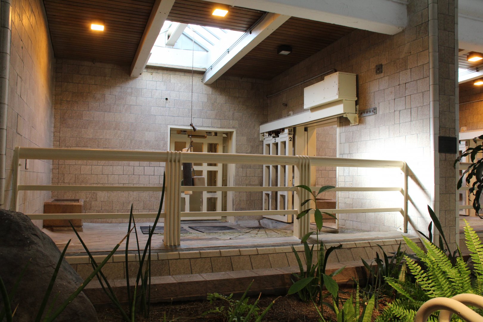 Detroit Zoo - White Rhinoceros exhibit