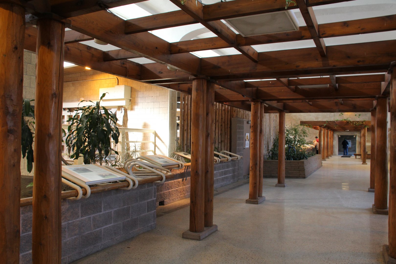 Detroit Zoo - White Rhinoceros exhibit