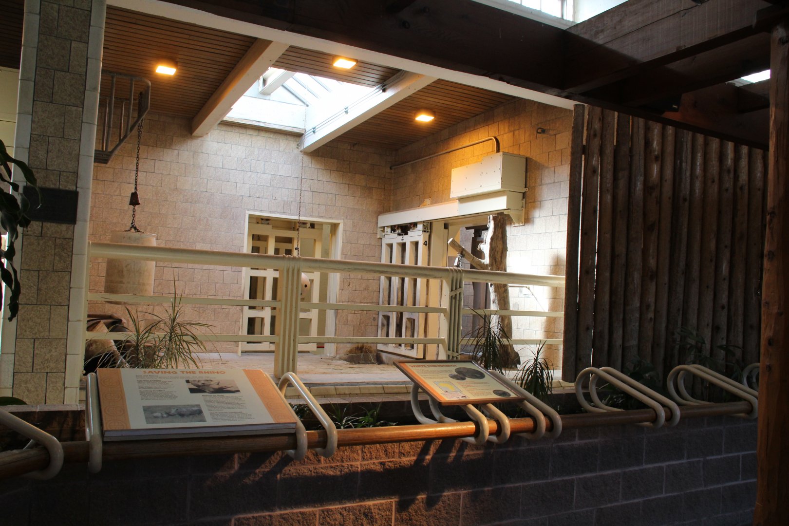 Detroit Zoo - White Rhinoceros exhibit