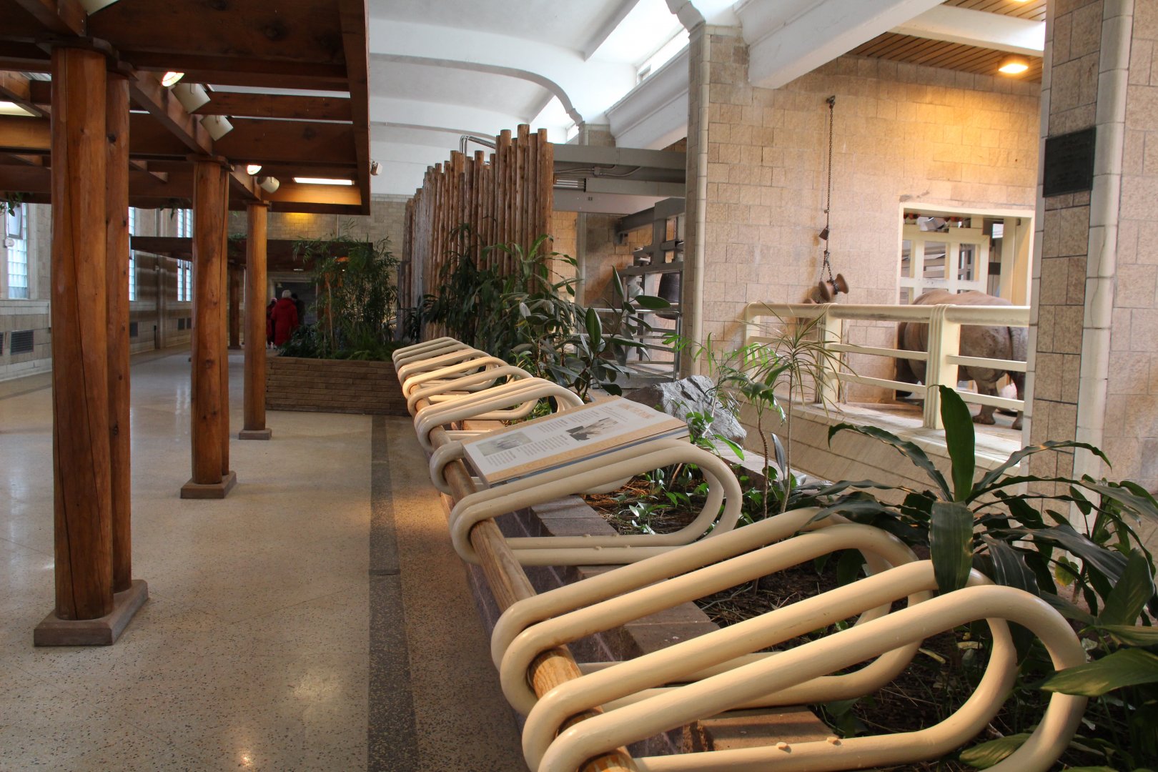 Detroit Zoo - White Rhinoceros exhibit