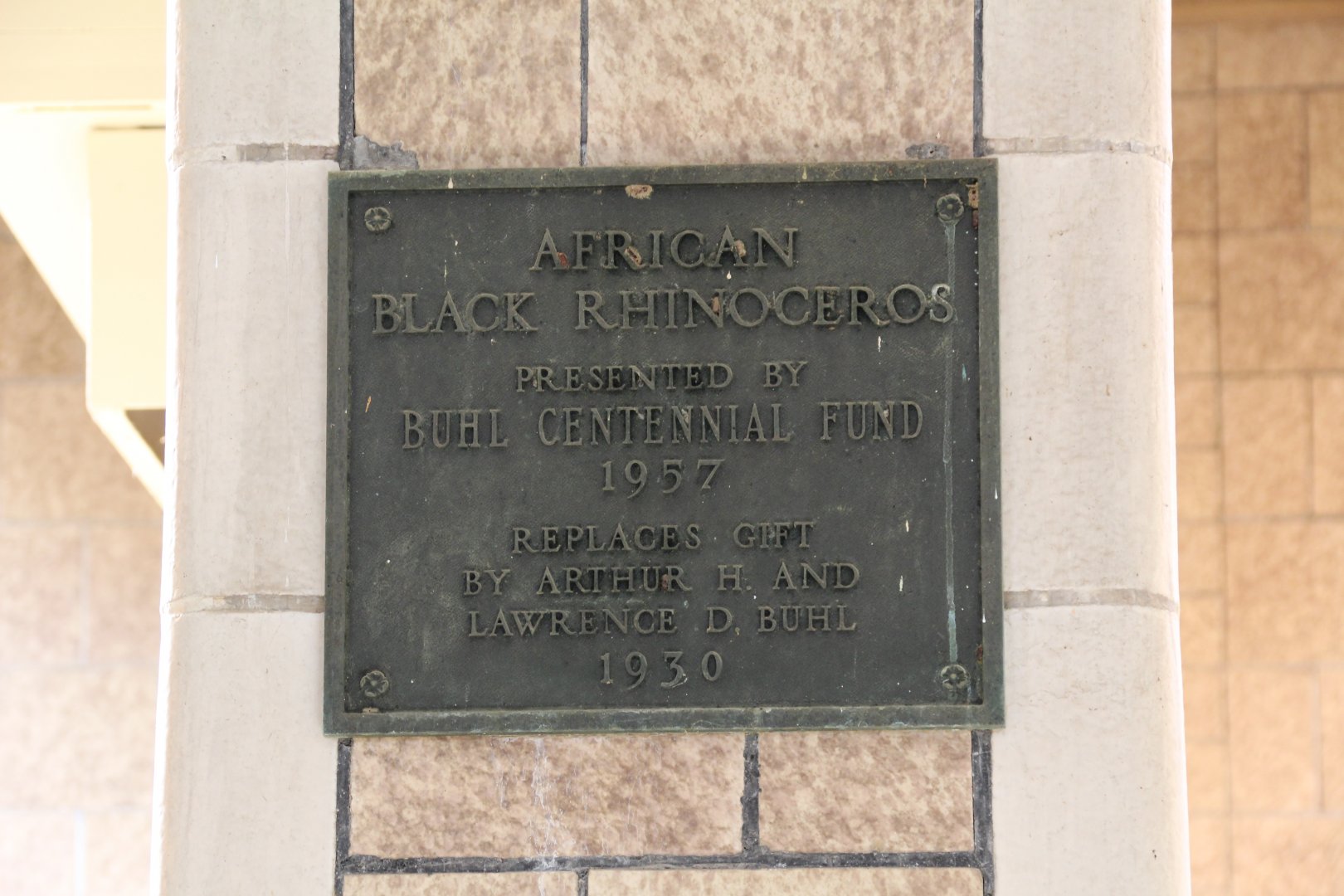 Detroit Zoo - White Rhinoceros exhibit