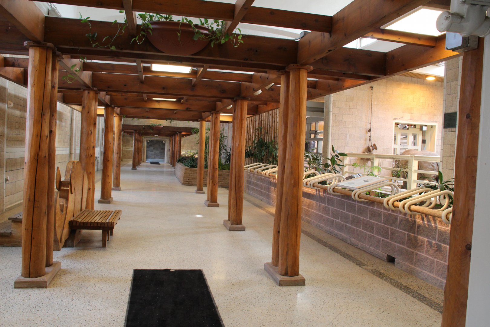 Detroit Zoo - White Rhinoceros exhibit