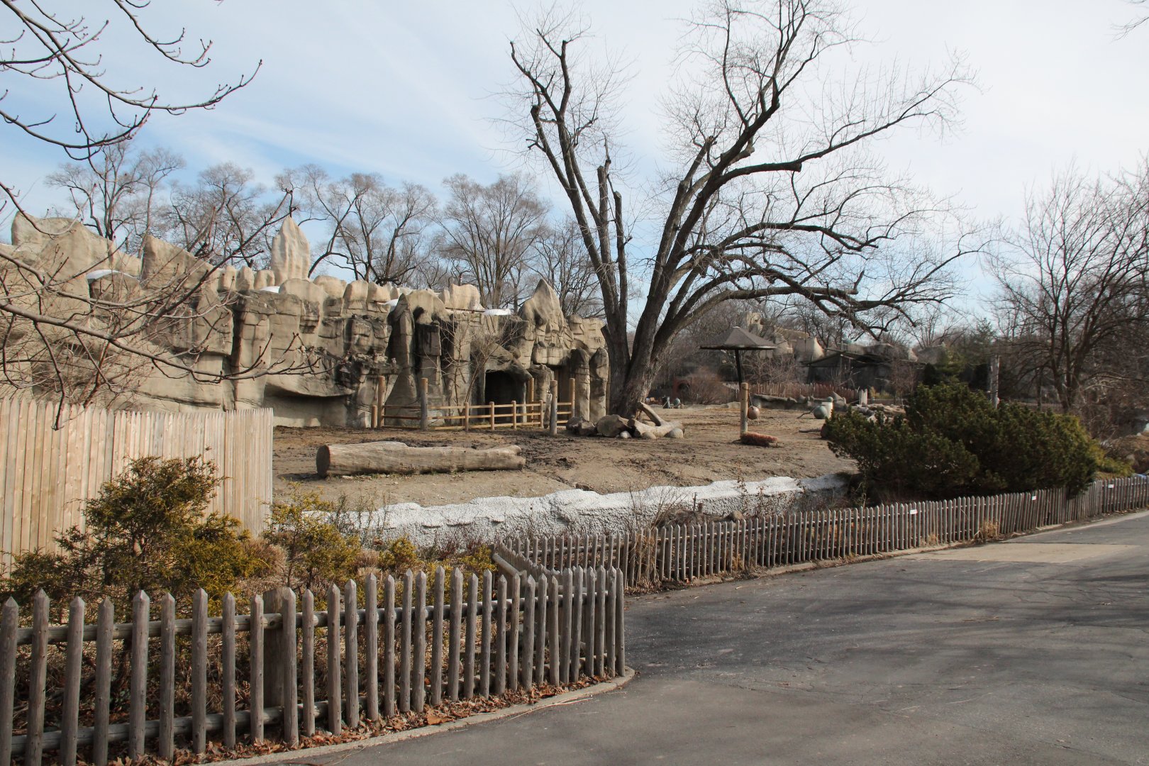 Detroit Zoo - White Rhinoceros exhibit