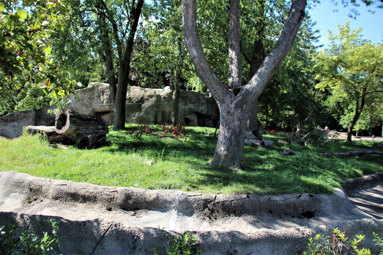 Detroit Zoo - Wolverine enclosure - Summer/Fall, 2016