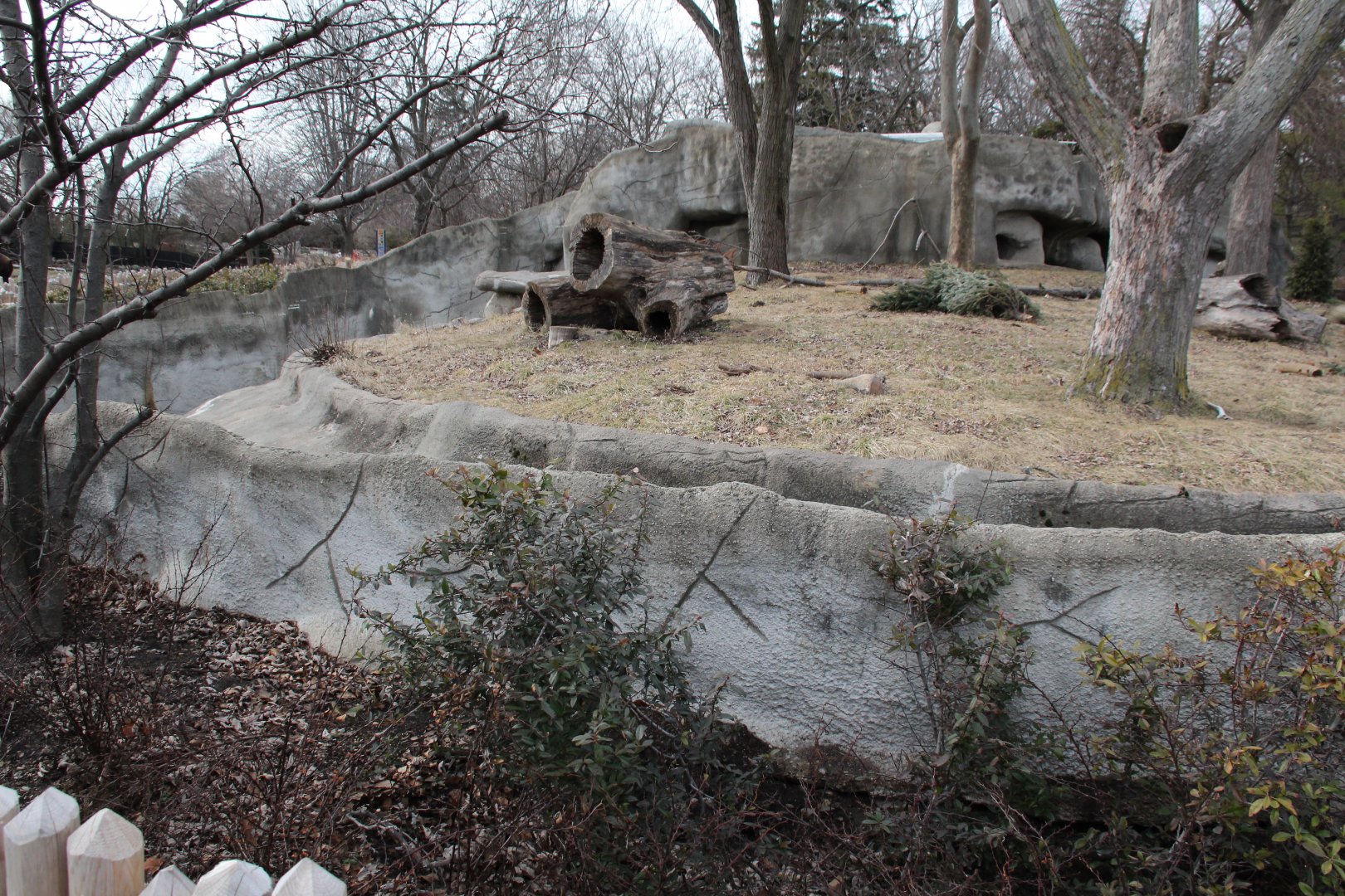 Detroit Zoo - Wolverine enclosure