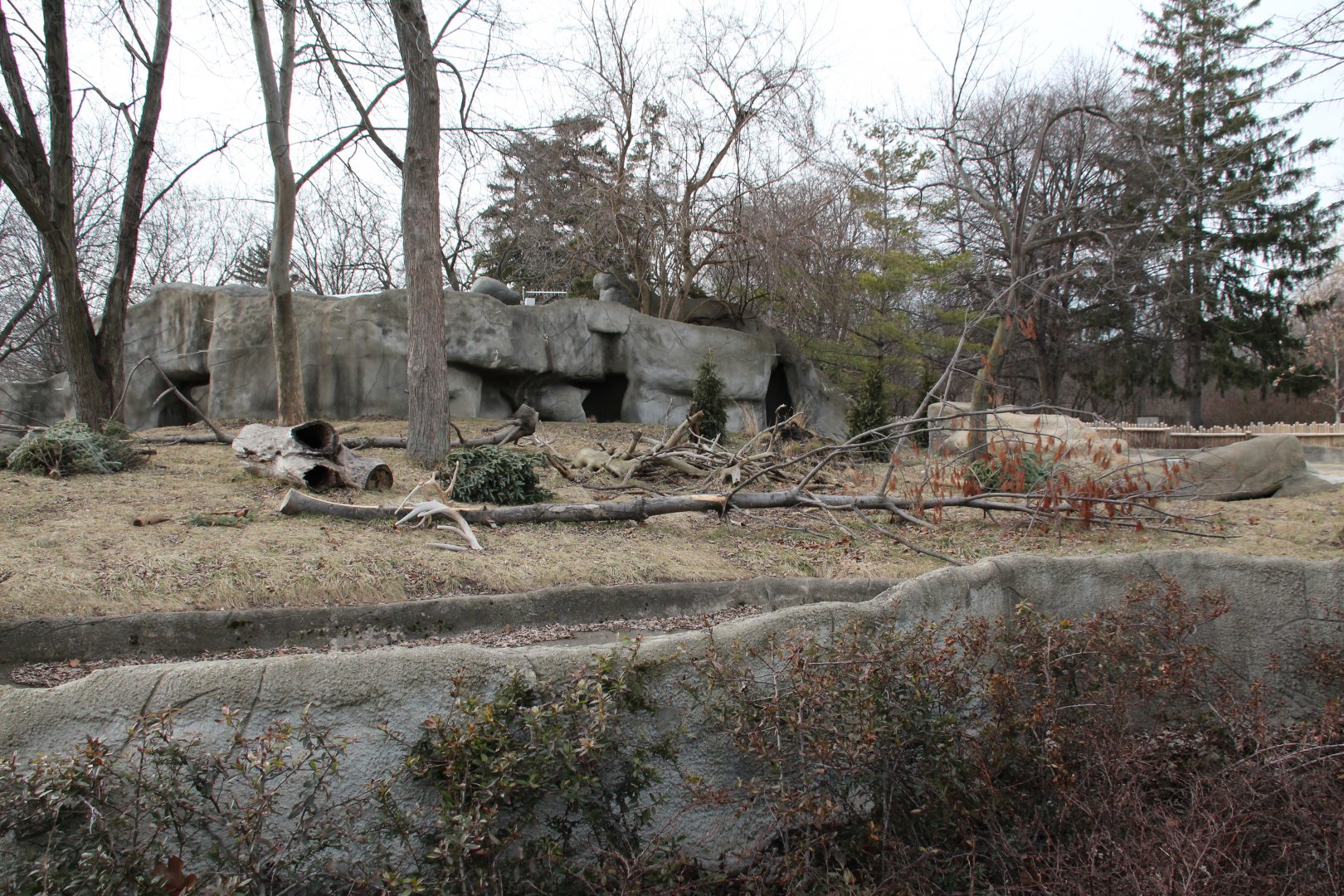 Detroit Zoo - Wolverine enclosure