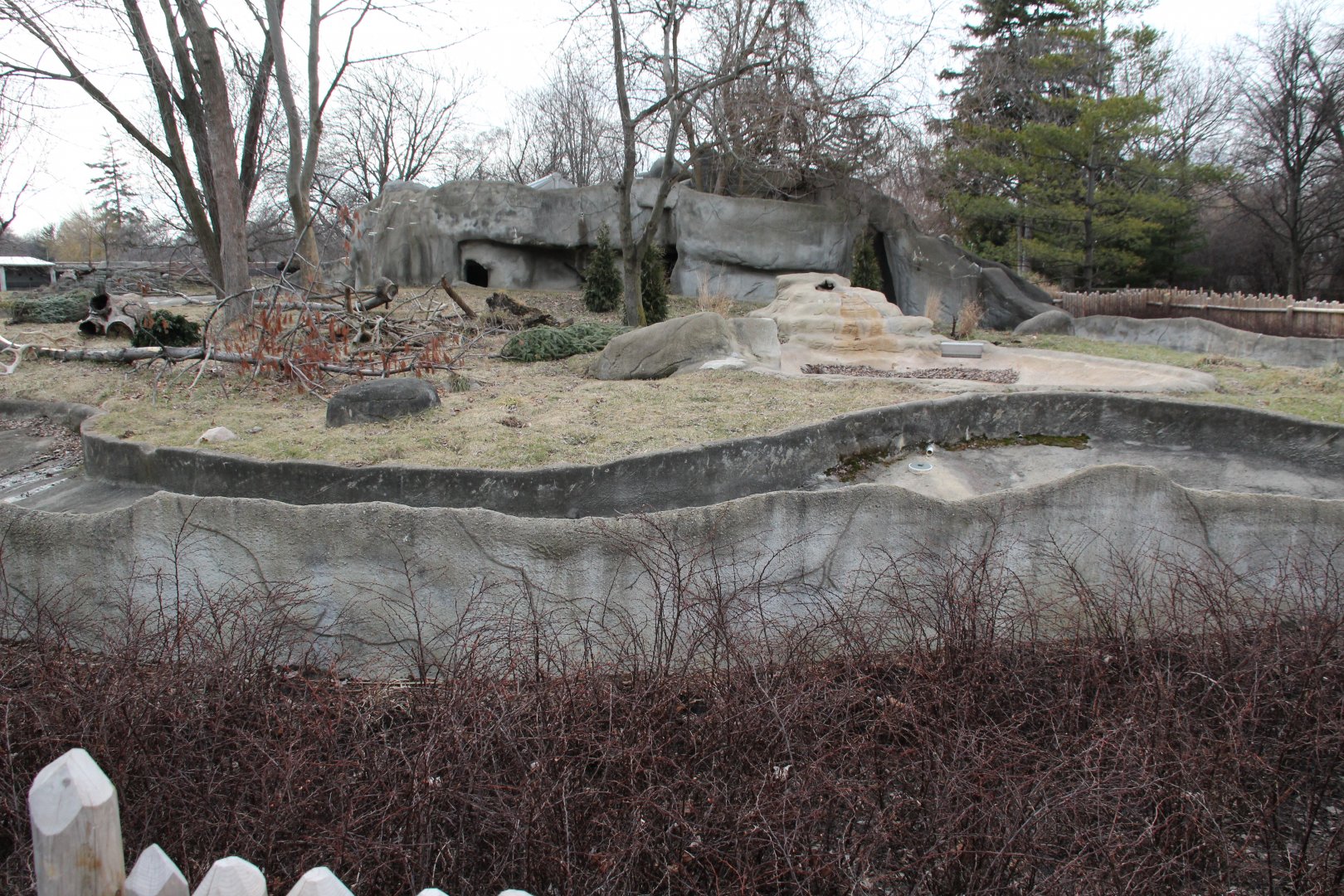 Detroit Zoo - Wolverine enclosure