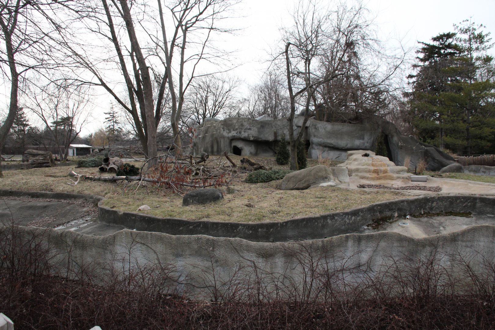 Detroit Zoo - Wolverine enclosure