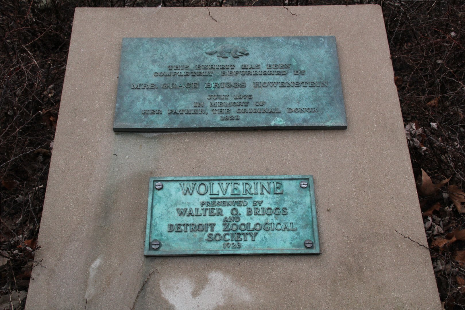 Detroit Zoo - Wolverine enclosure