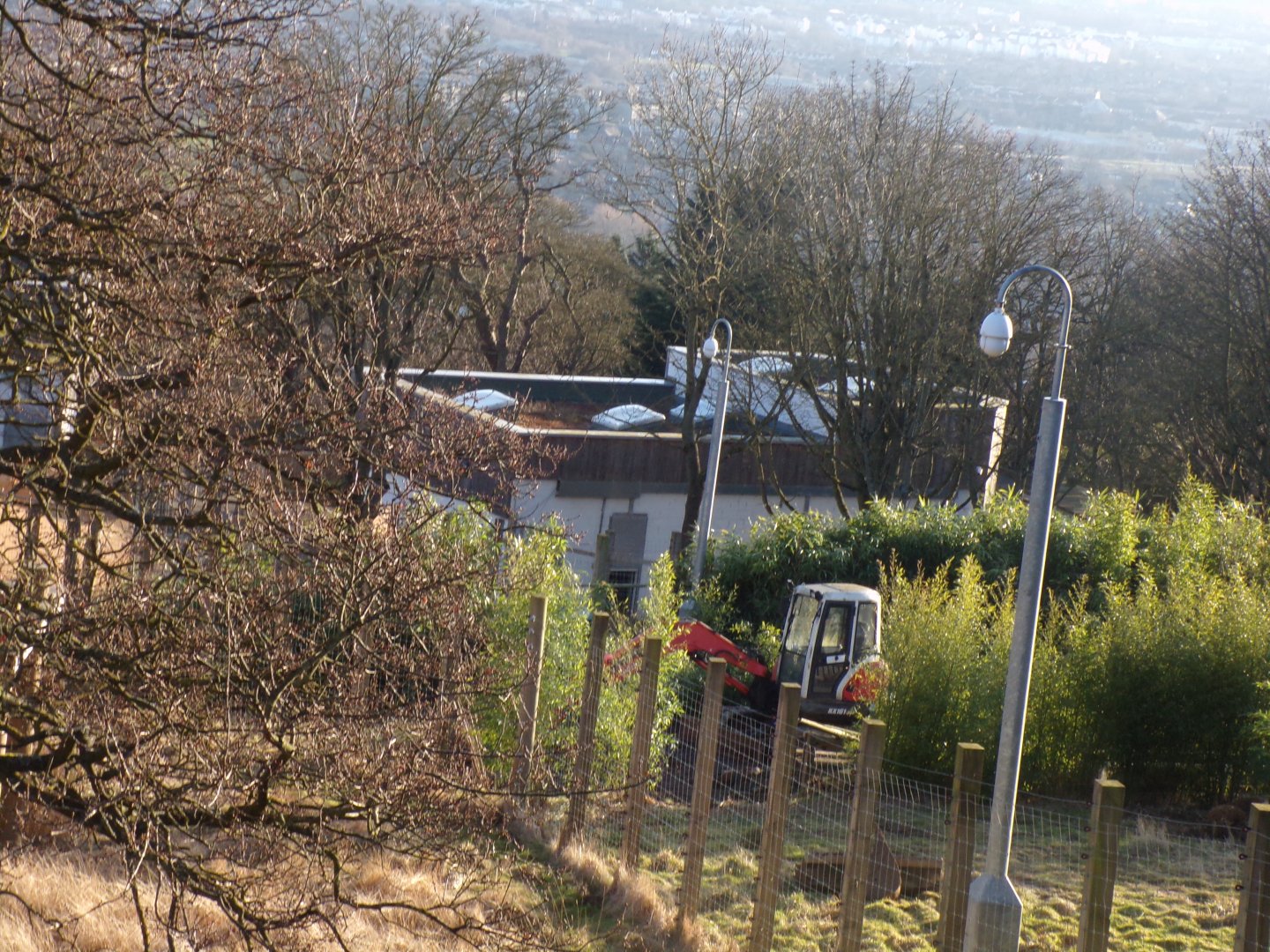 Development on future sloth bear enclosure 1.3.25