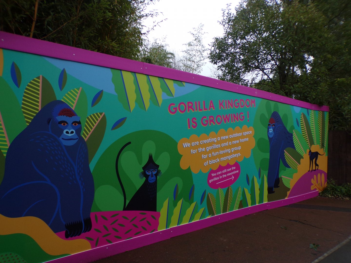 Development sign for gorilla enclosure 11.2.25
